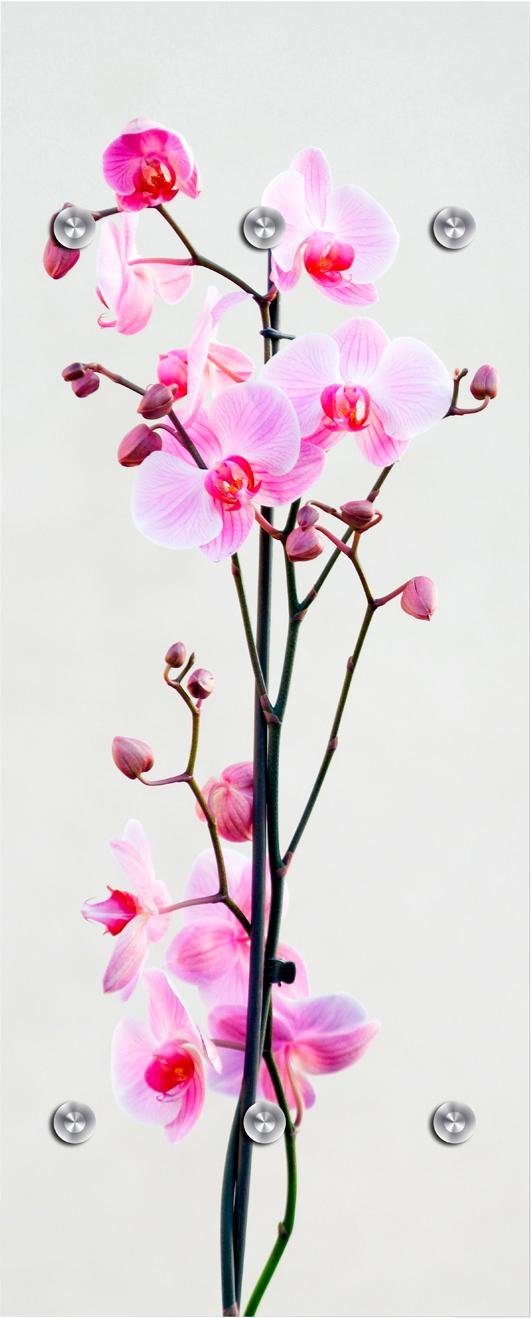 queence Kapstok Orchidee met 6 haken, 50 x 120 cm kapstokken maat (B/H): 50/125 cm roze