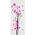 queence kapstok orchidee met 6 haken, 50 x 120 cm roze