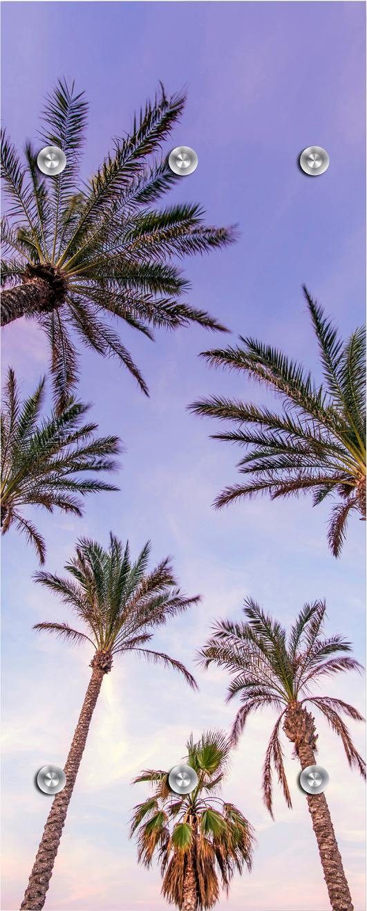 queence Kapstokpaneel Palmen en hemel met 6 haken, 50 x 120 cm