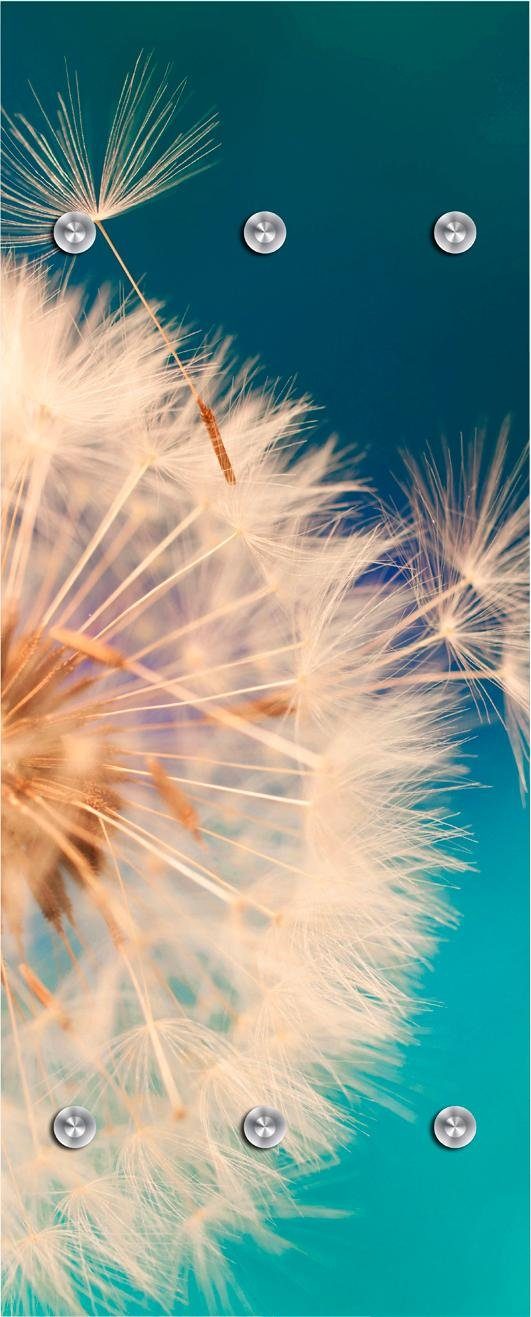 kapstokpaneel Pusteblume in groß