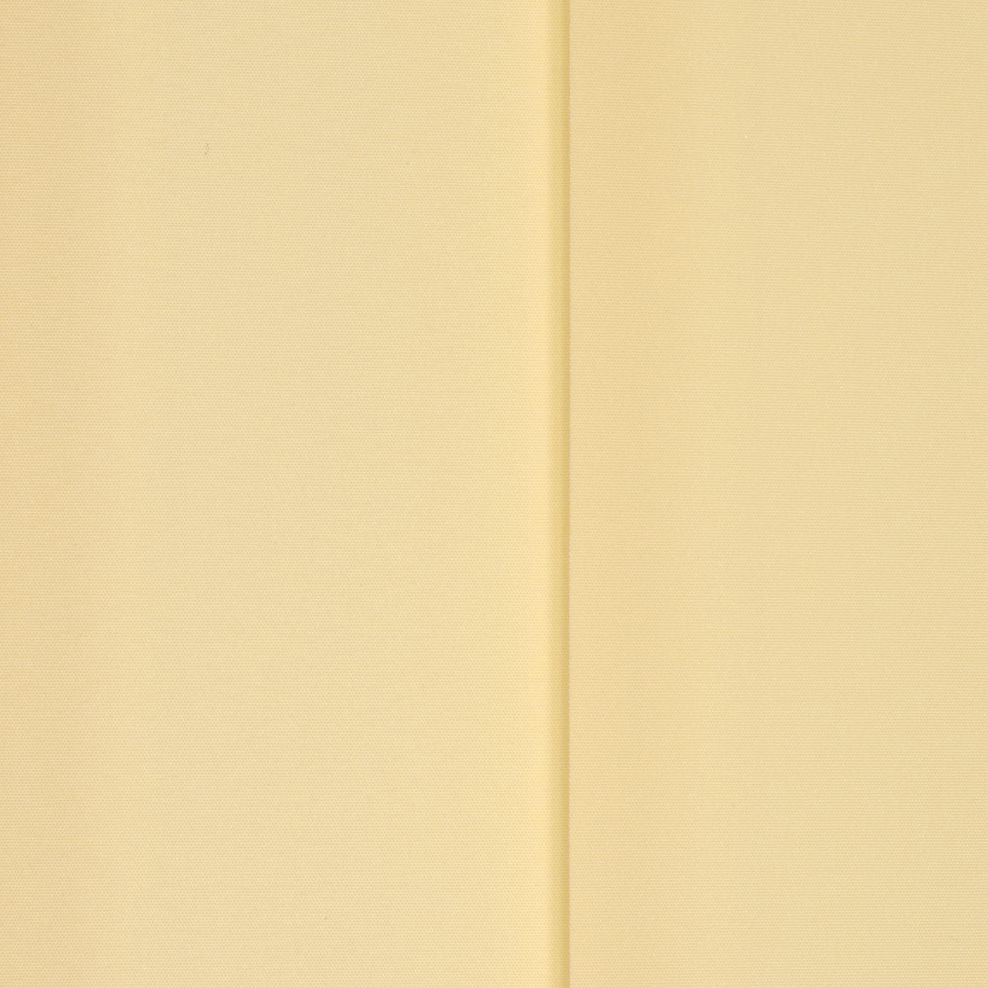 Liedeco Lamellengordijn Verticaal gordijn 127 mm (1 stuk)