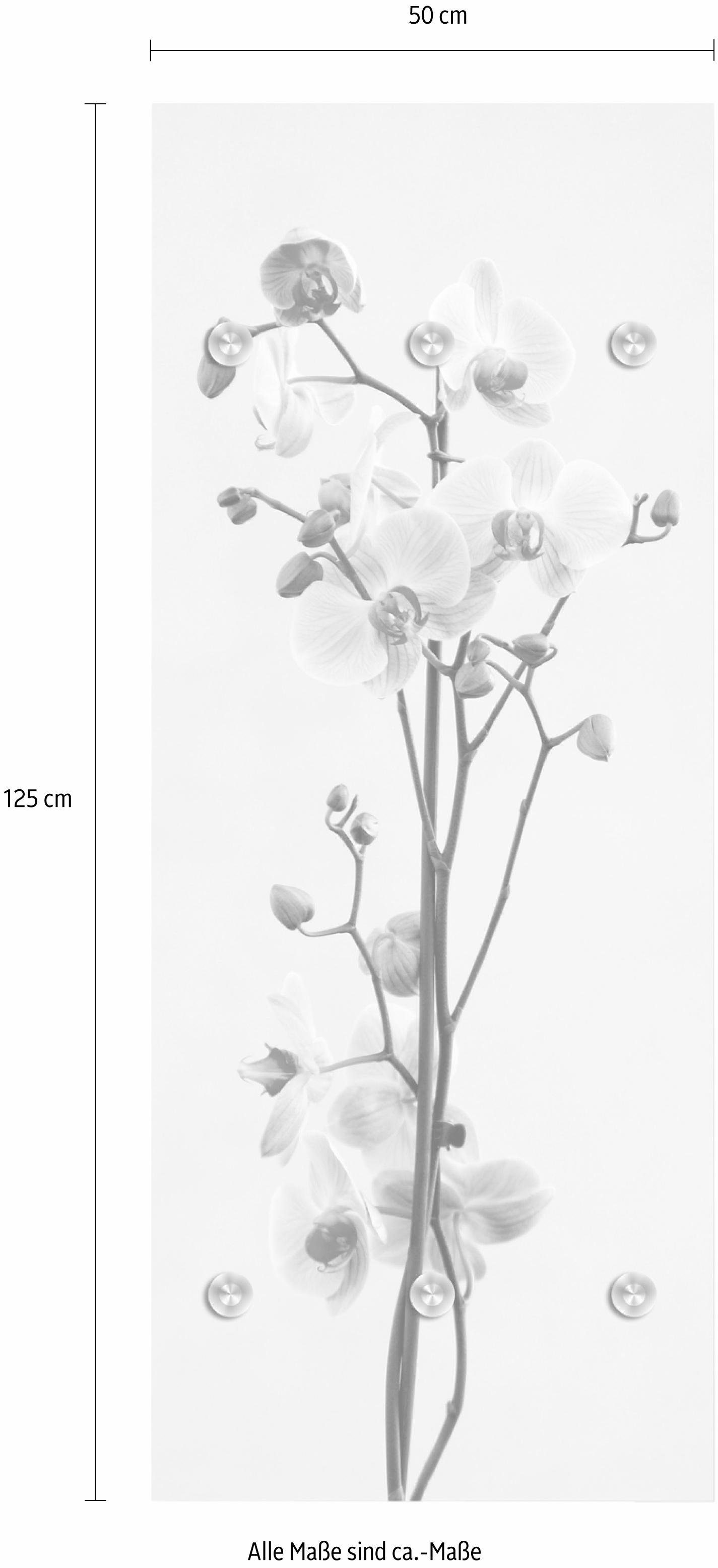 queence Kapstok Orchidee met 6 haken, 50 x 120 cm