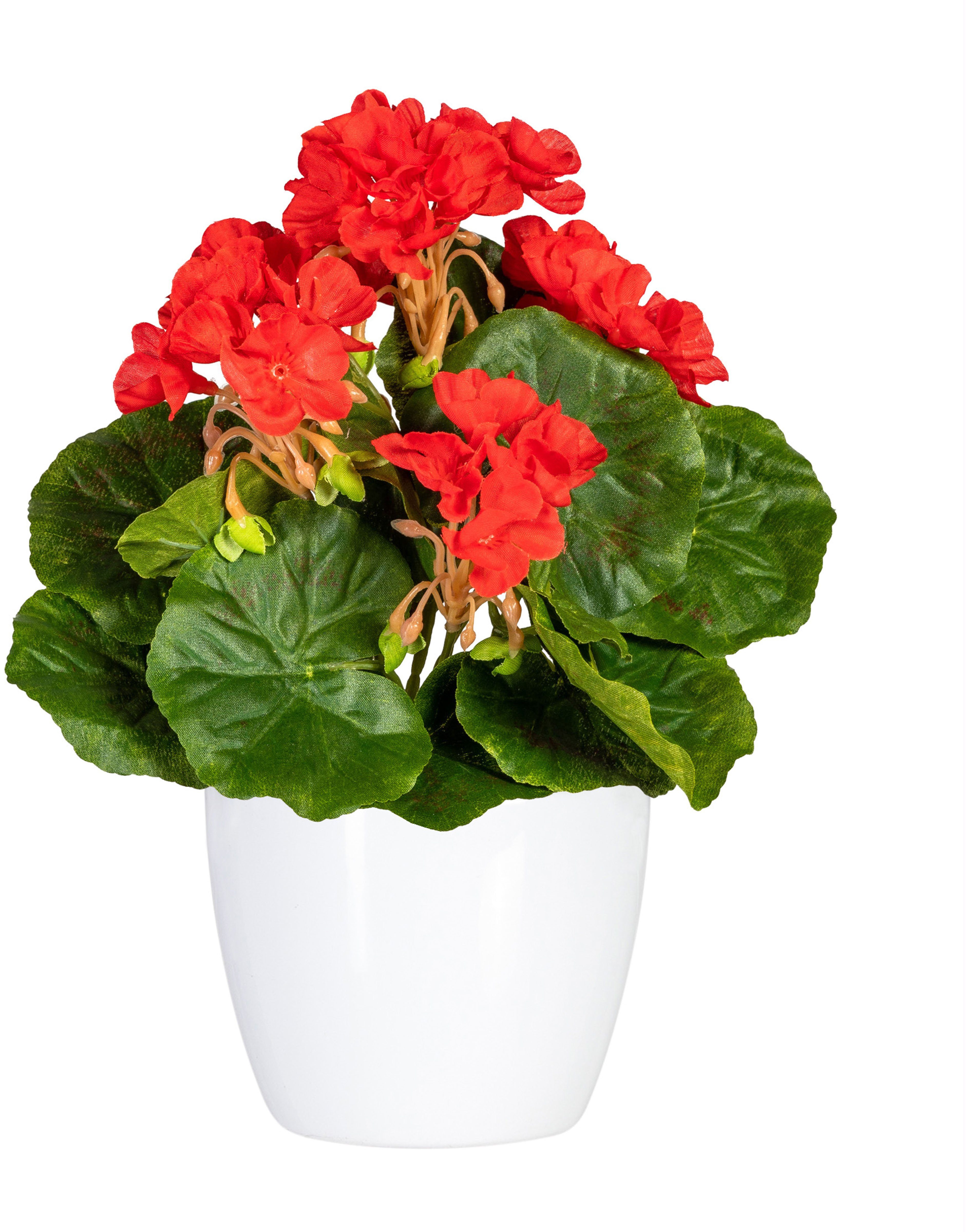 Home affaire Kunstplant Havel in een pot(2 stuks)