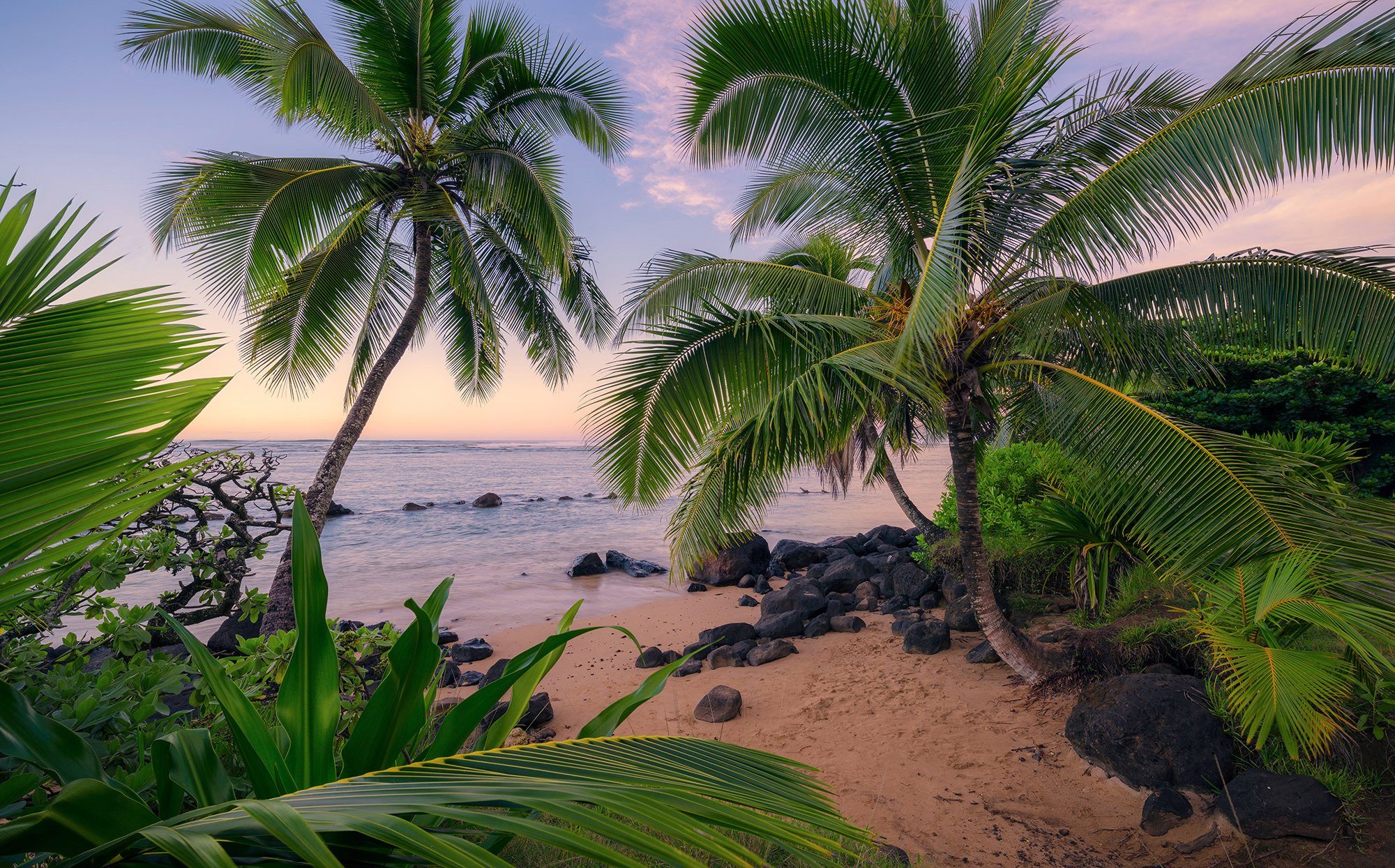 Komar fotobehang Hawaiian Dreams