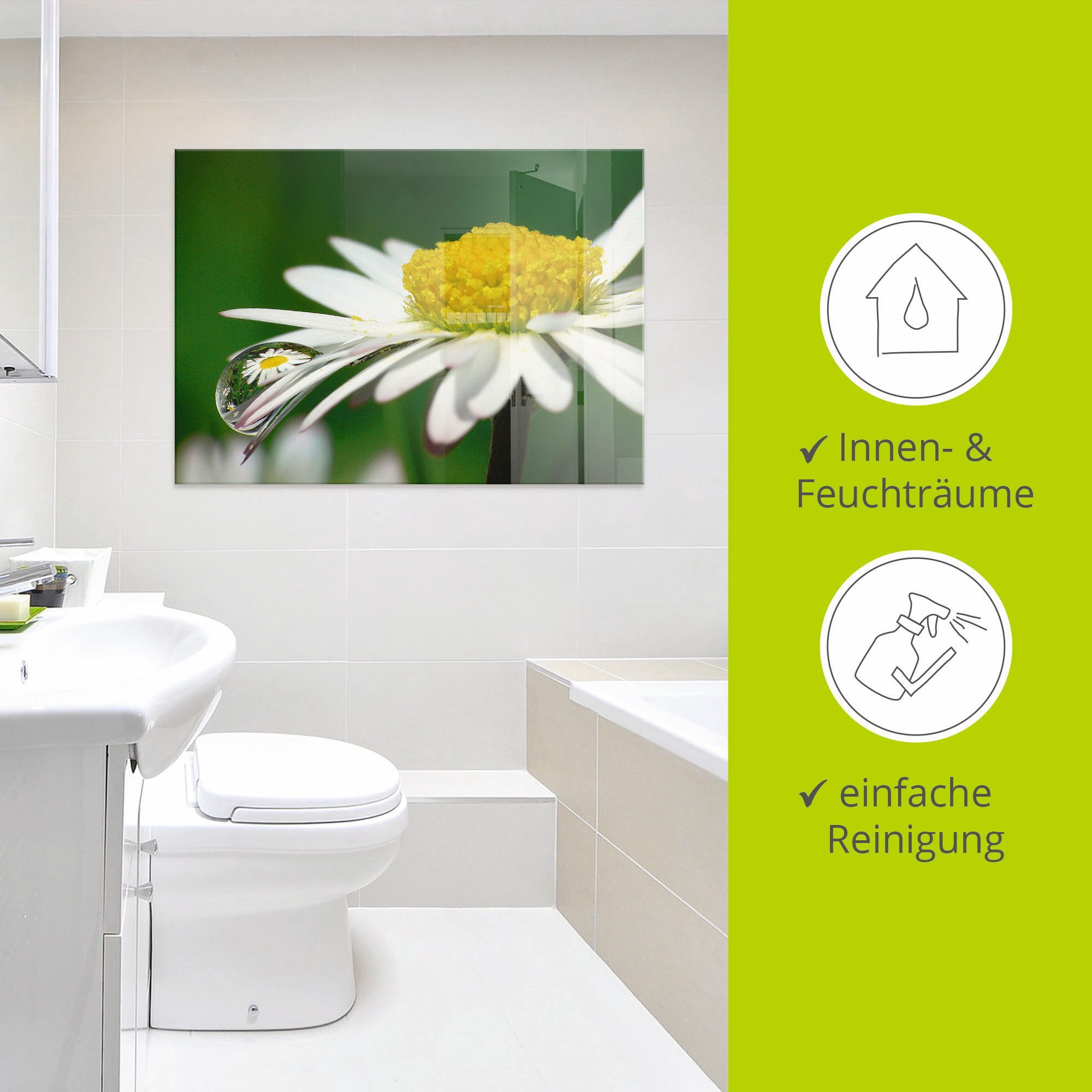 Artland Print op glas Madeliefje met waterdruppels
