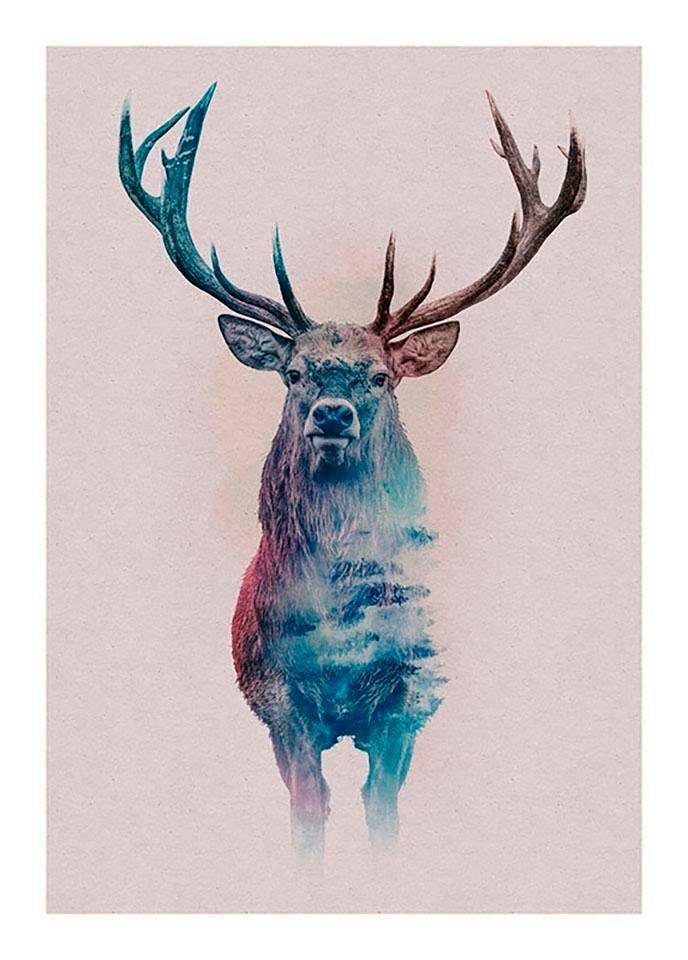 Komar Poster Animals forest Deer Hoogte: 70 cm