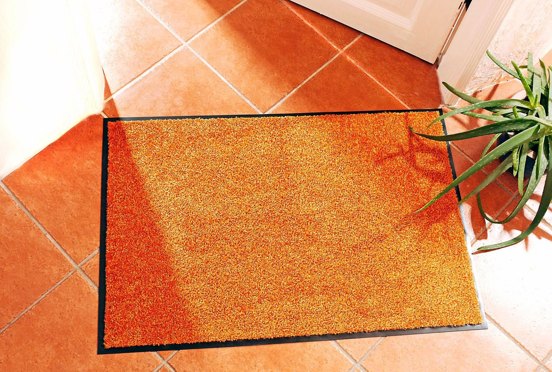 HANSE Home Mat Wash & Clean Vuilopvangmat, deurmat, in- en uitwendig, tapijt, loper, wasbaar