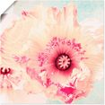 artland artprint pastel papaver in vele afmetingen  productsoorten -artprint op linnen, poster, muursticker - wandfolie ook geschikt voor de badkamer (1 stuk) roze