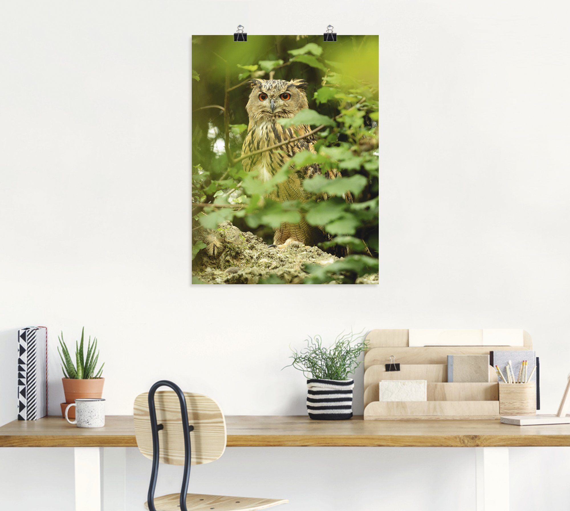 Artland Artprint Vogel oehoe als artprint op linnen, poster in verschillende formaten maten