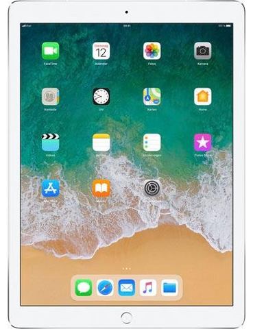 Apple APPLE iPad Pro, 12,9 inch, wifi + cellular 256 GB