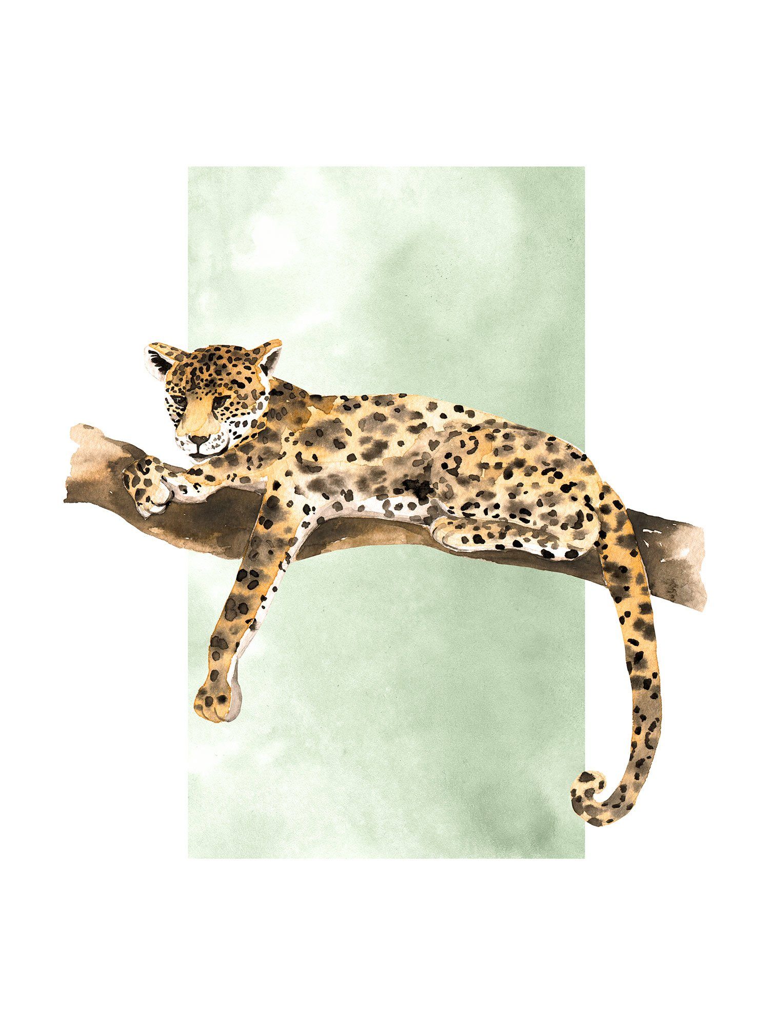 Komar Poster Lazy Leopard