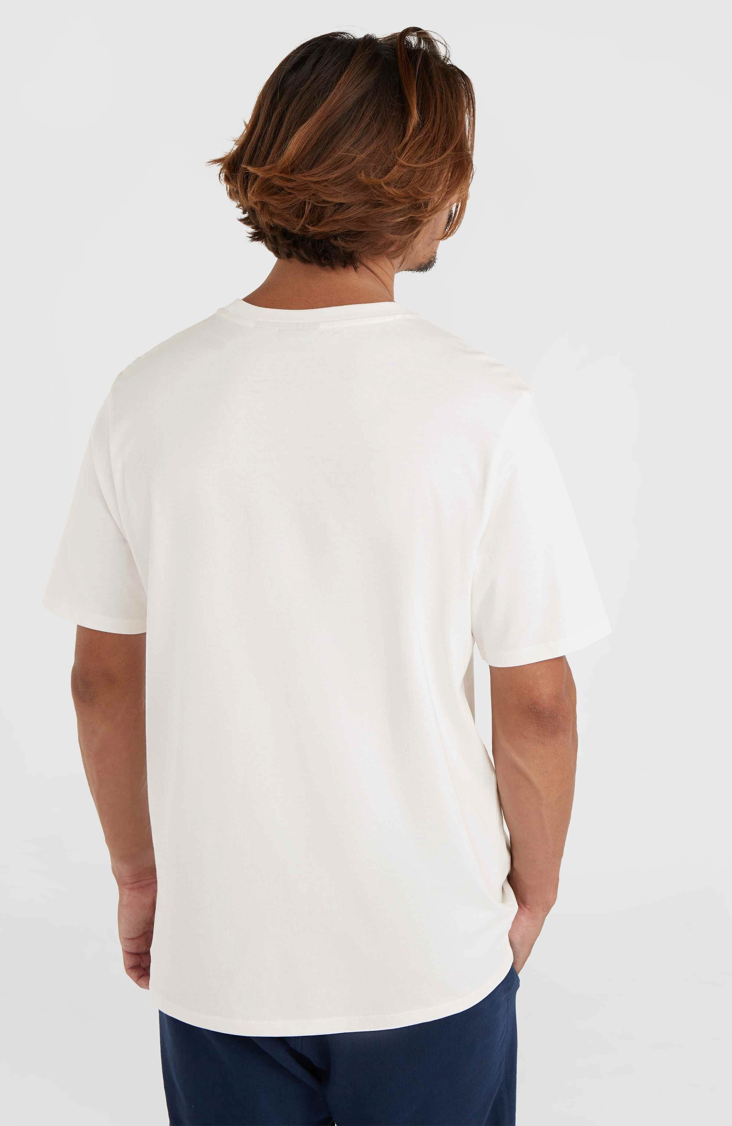 O'Neill T-shirt O'NEILL SMALL LOGO T-SHIRT