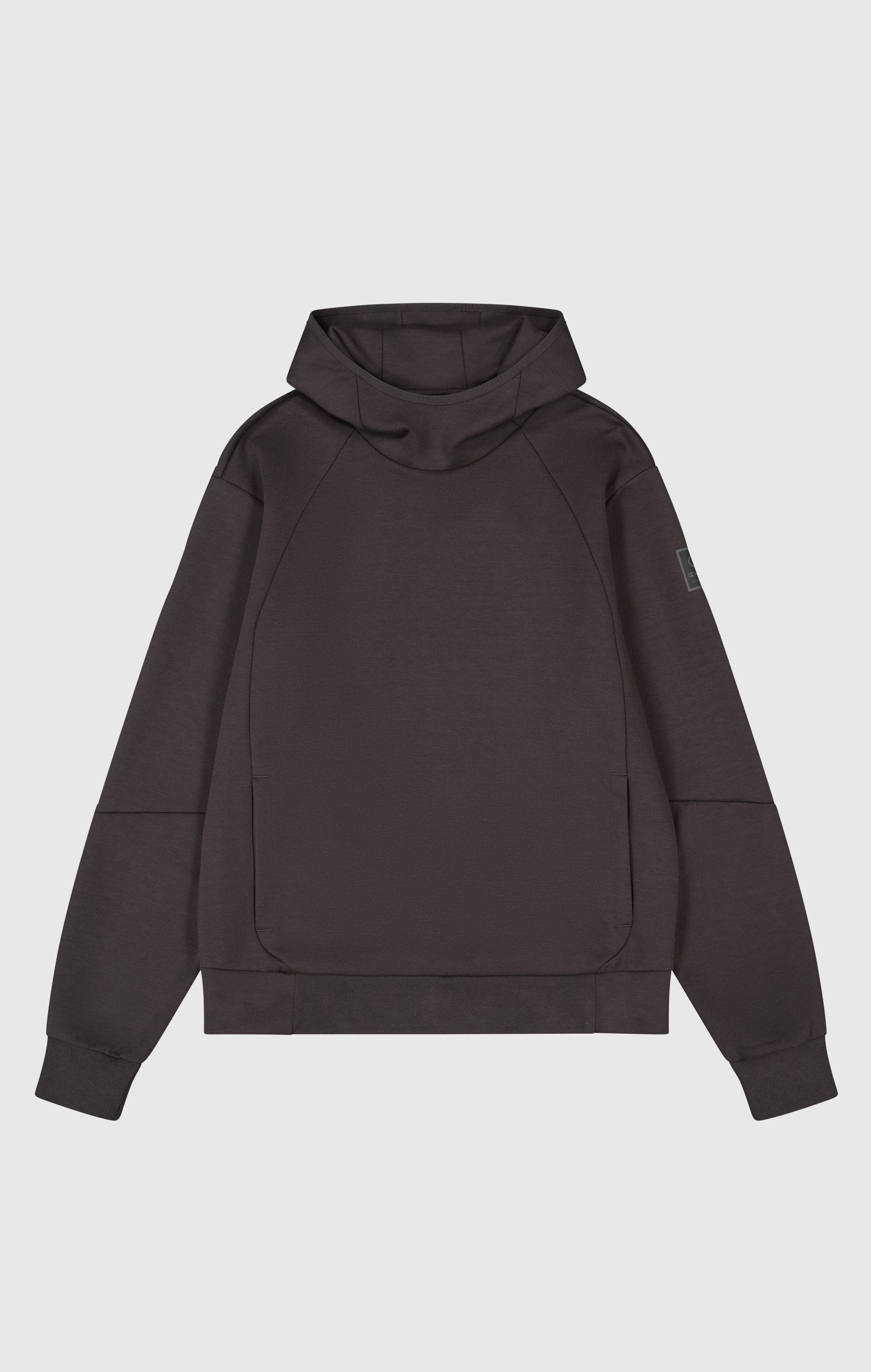 Champion Hoodie HOODED sweatshirt