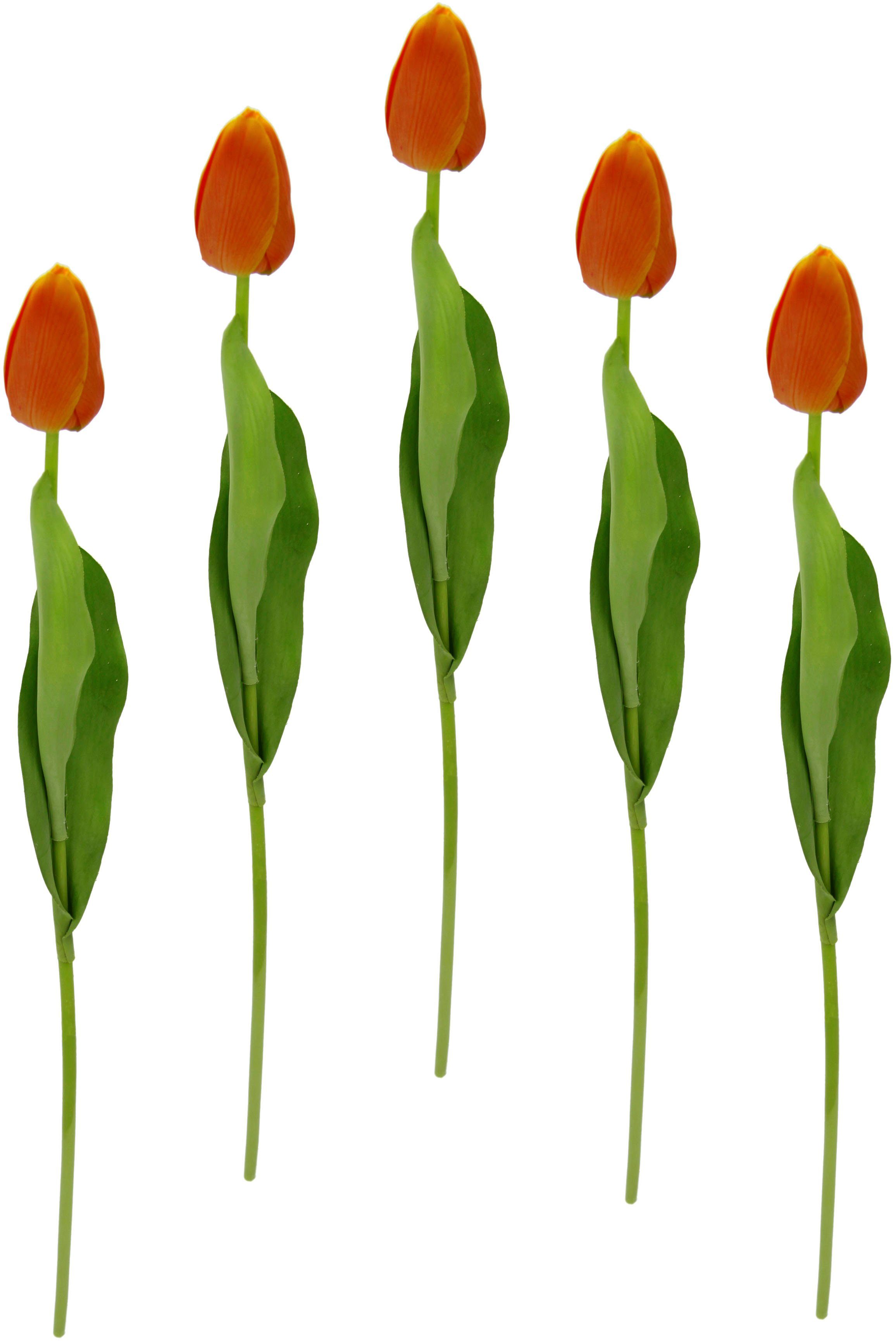 I.GE.A. Kunstbloem Real Touch Tulpen set van 5 kunst-tulpenknoppen kunstbloemen snijbloem (5 stuks)