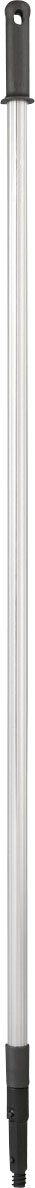 Leifheit Telescoopsteel Professional 250