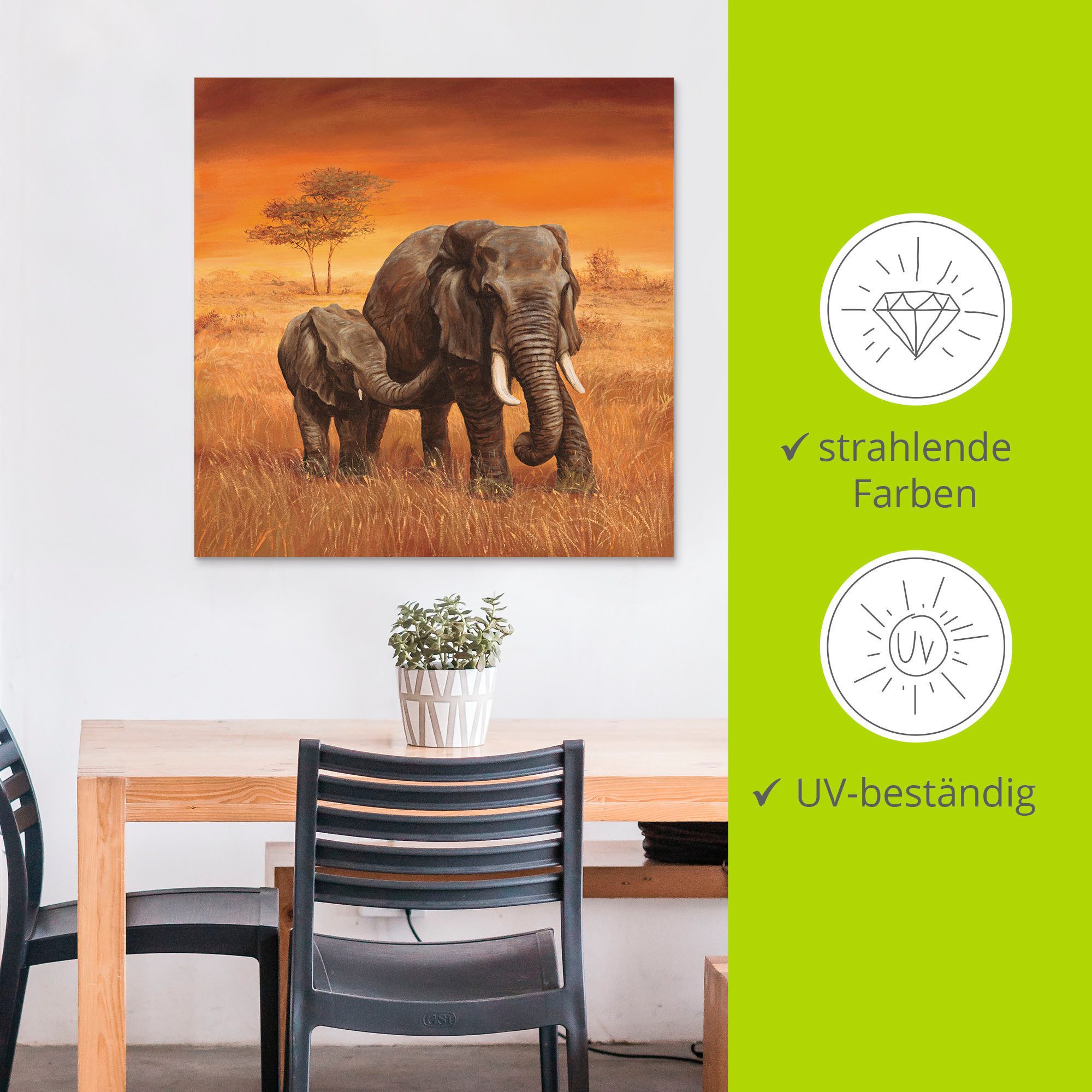 Artland Artprint Olifanten II als artprint van aluminium, artprint voor buiten, artprint op linnen, poster, muursticker
