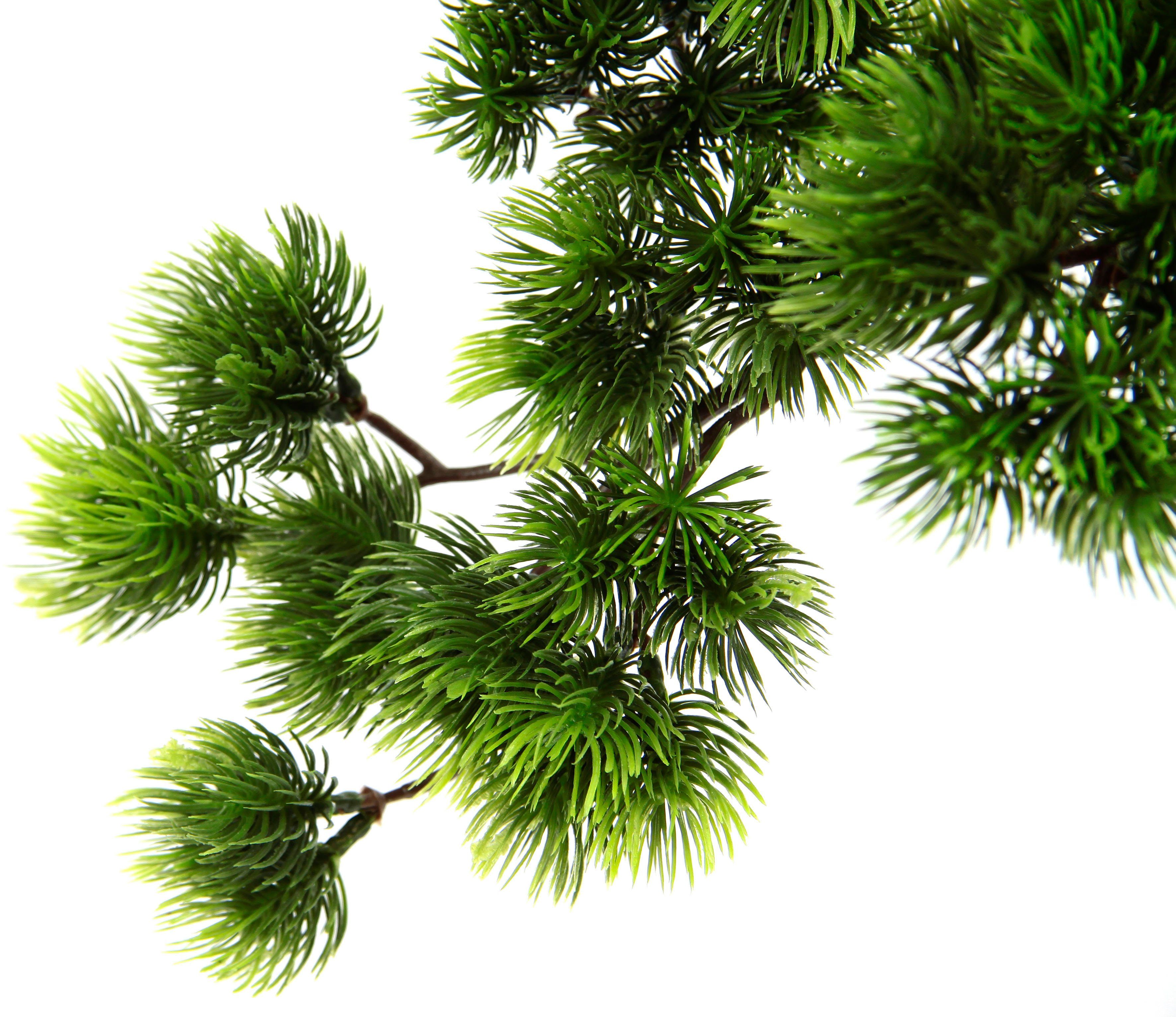 I.GE.A. Kunstplant Bonsai boom in schaal Exotische bomen, Zen-tuin (1 stuk)