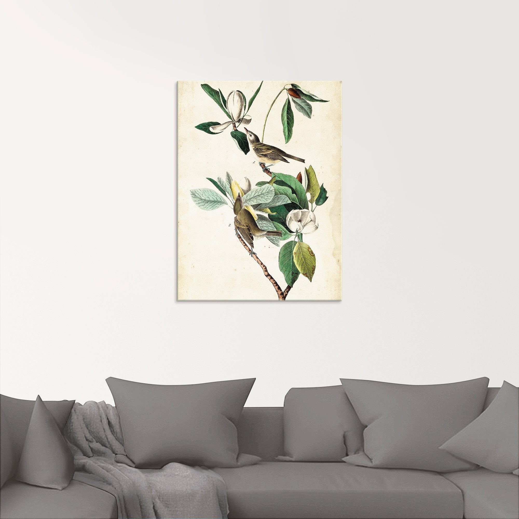 Artland Print op glas Sängervireo in verschillende maten