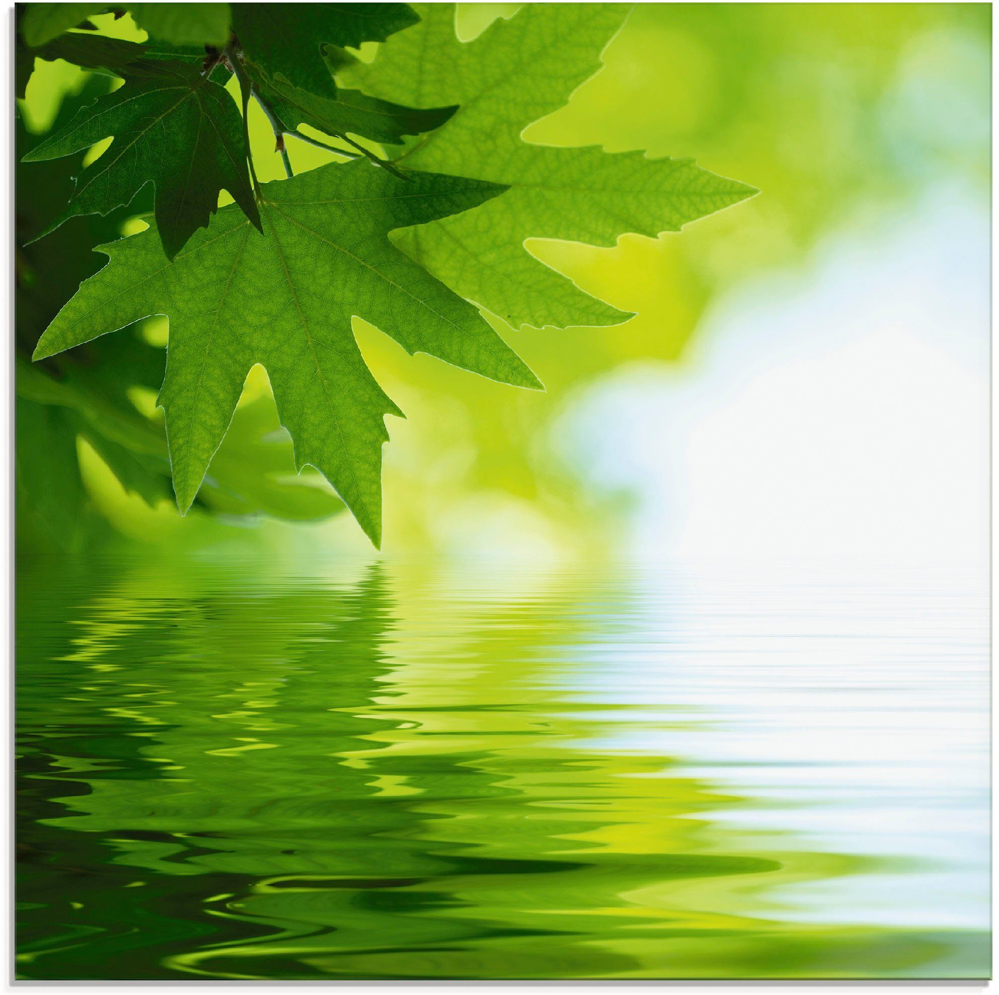 Artland Print op glas Groene blaadjes reflecteren in het water (1 stuk)