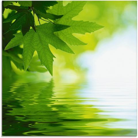 Artland print op glas Grüne Blätter reflektieren im Wasser