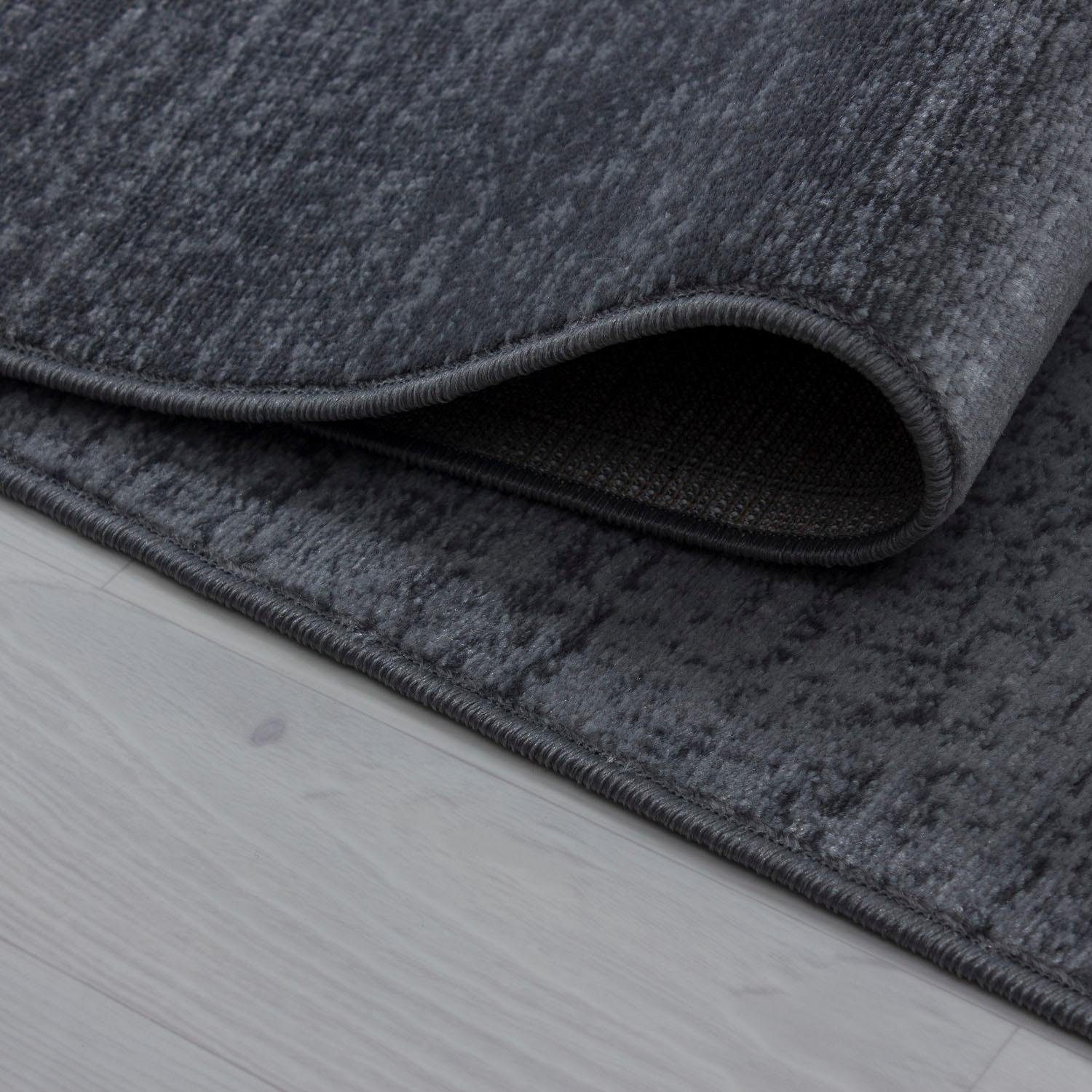 Ayyildiz Teppiche Vloerkleed Plus 8002