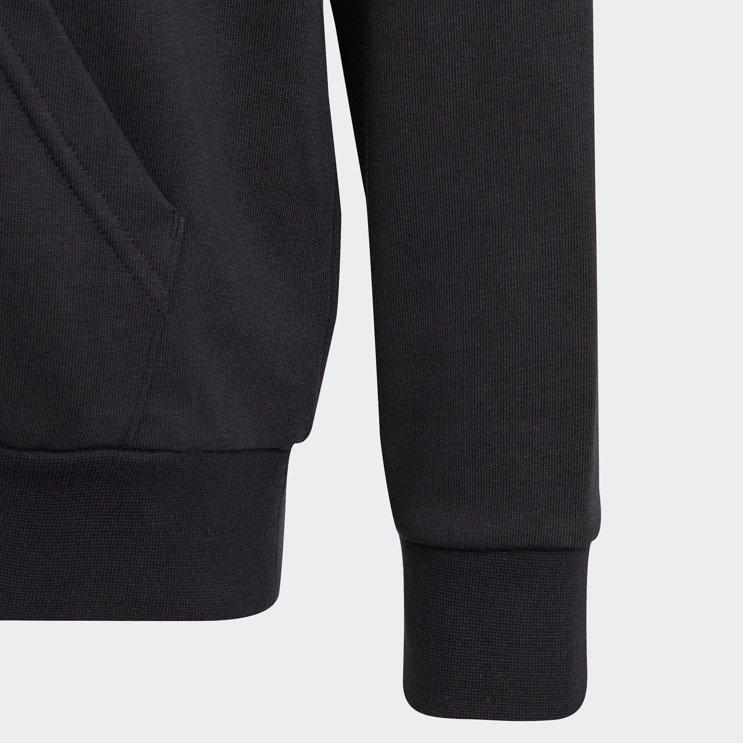 adidas Sportswear Hoodie BIG LOGO ESSENTIALS COTTON HOODIE