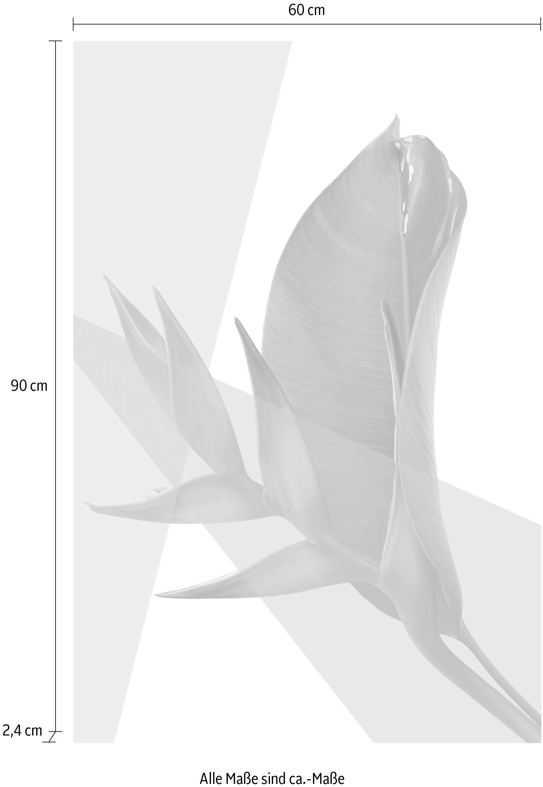 queence Artprint op acrylglas Bladeren Fine Art-print in galeriekwaliteit