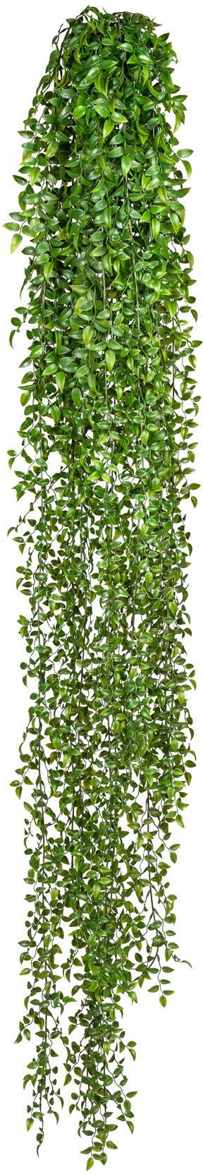 Creativ green Kunstplant Ruscus-plantenhanger (1 stuk) kunstplanten groen