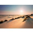 reinders! decoratief paneel zonnige duinen 140-100 cm groen