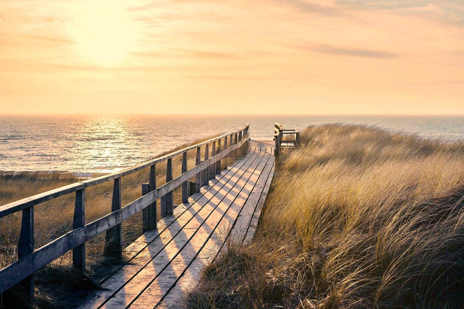 Reinders! Decoratief paneel Weg naar het strand