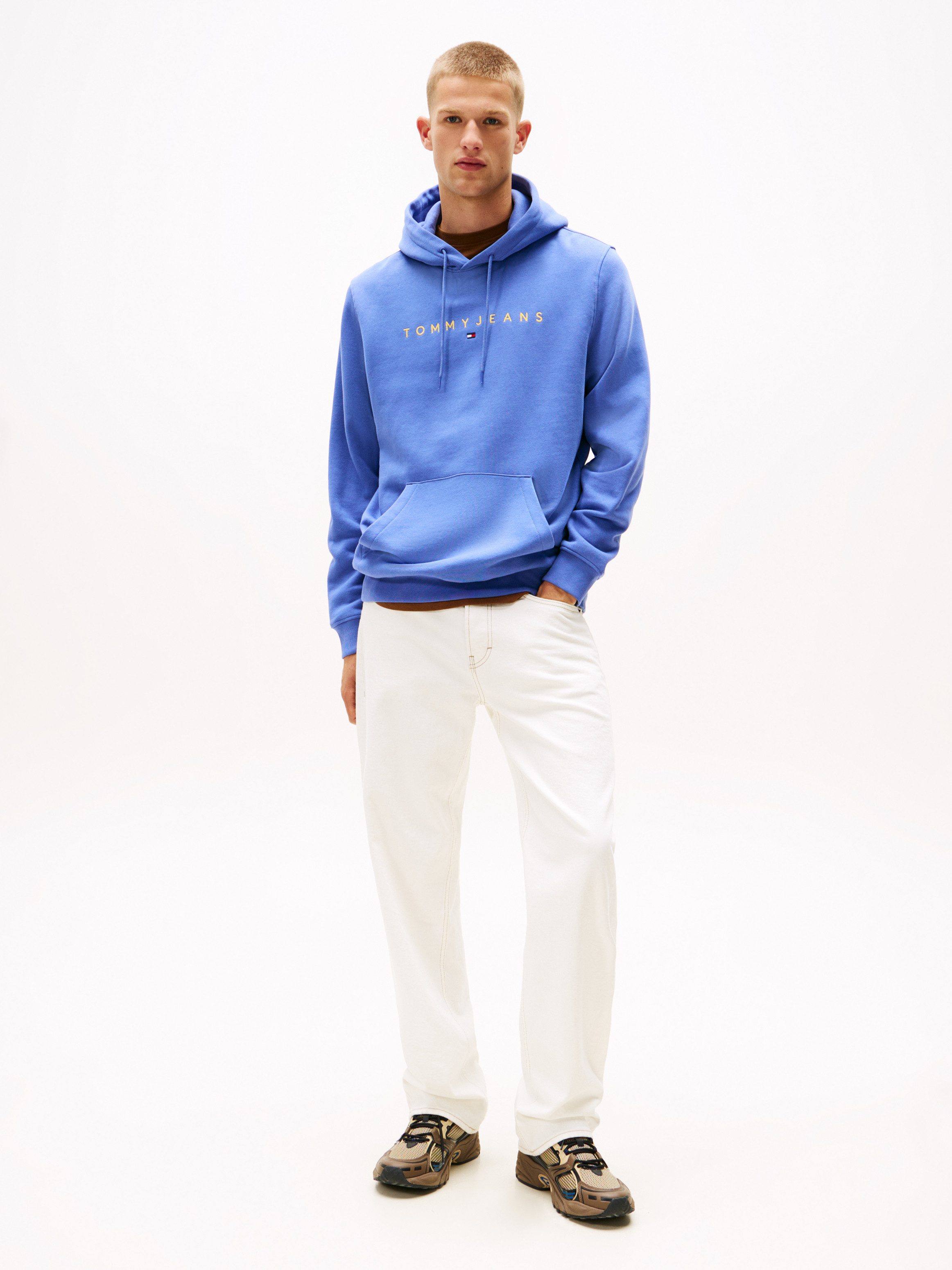 TOMMY JEANS Hoodie TJM REG LINEAR LOGO HOODIE EXT