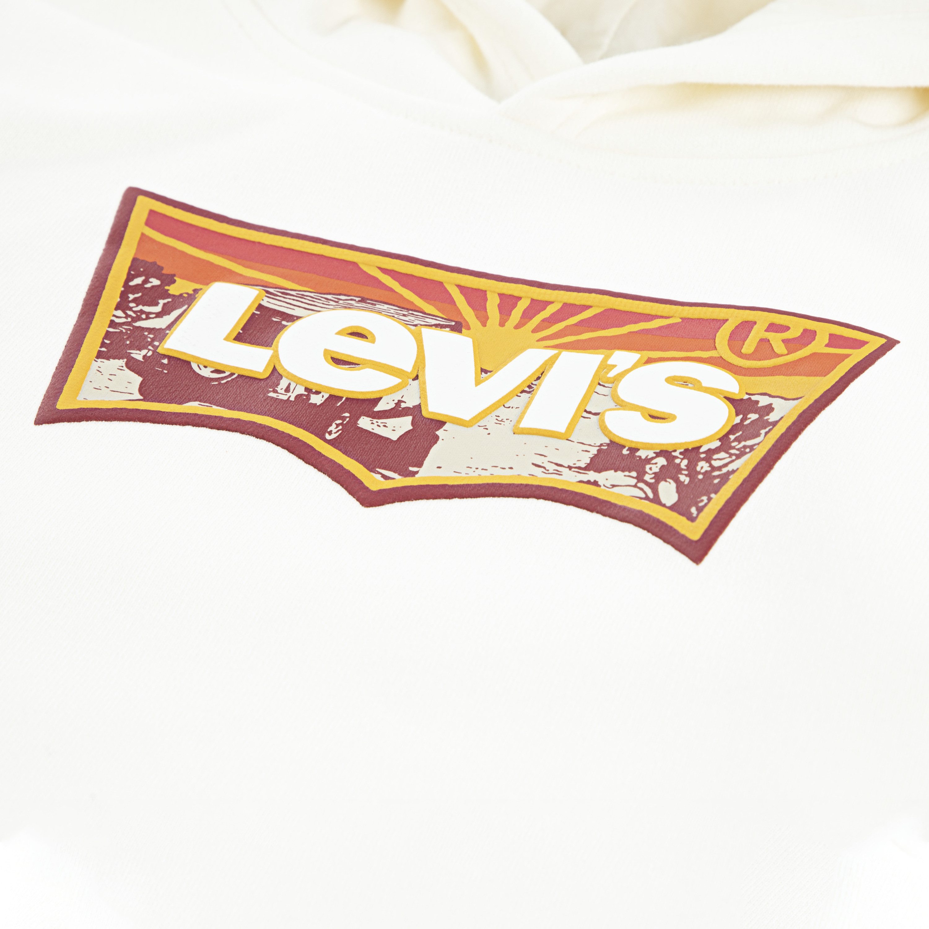 Levi's Kidswear Hoodie