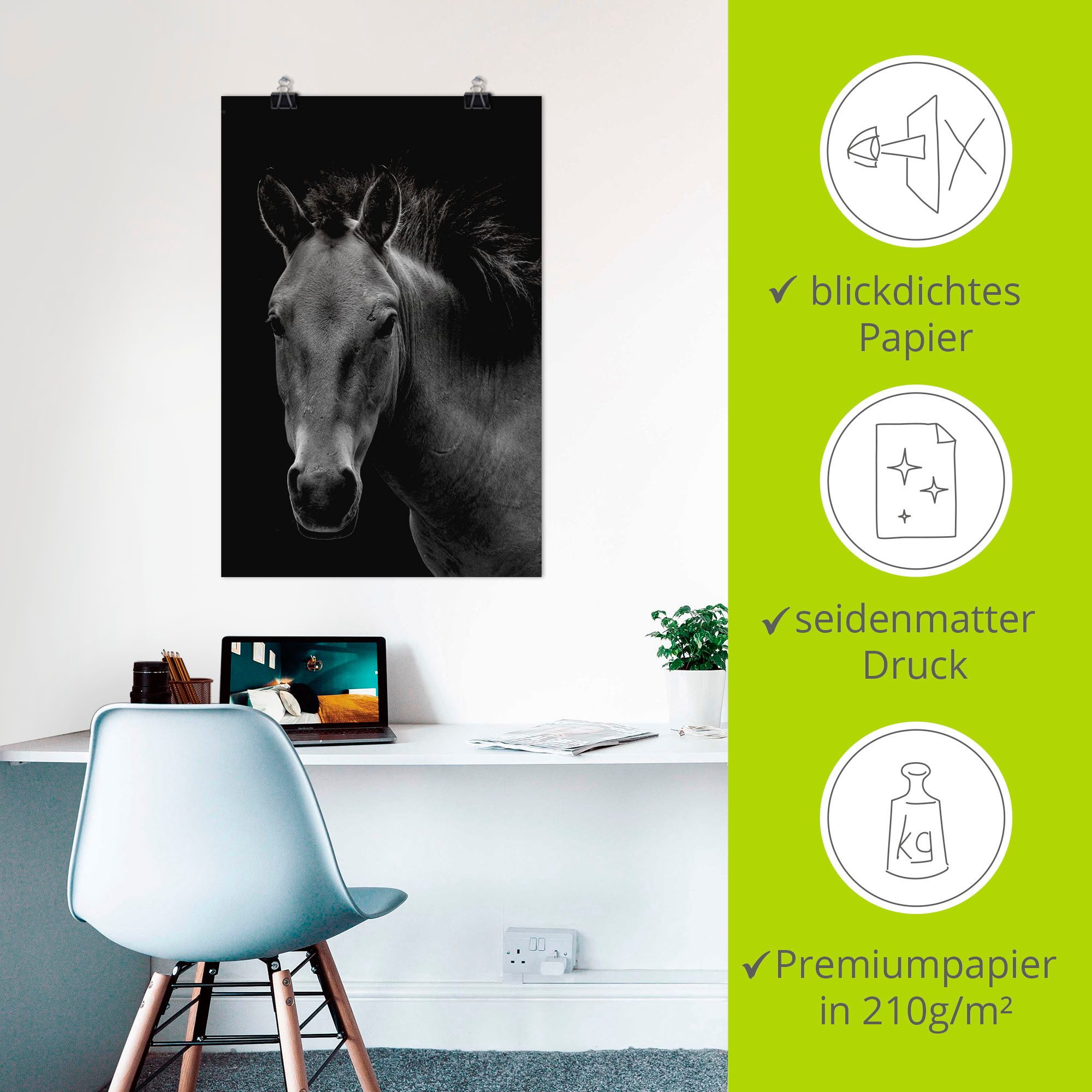 Artland Poster Wild paard als artprint van aluminium, artprint op linnen, muursticker of poster in verschillende maten
