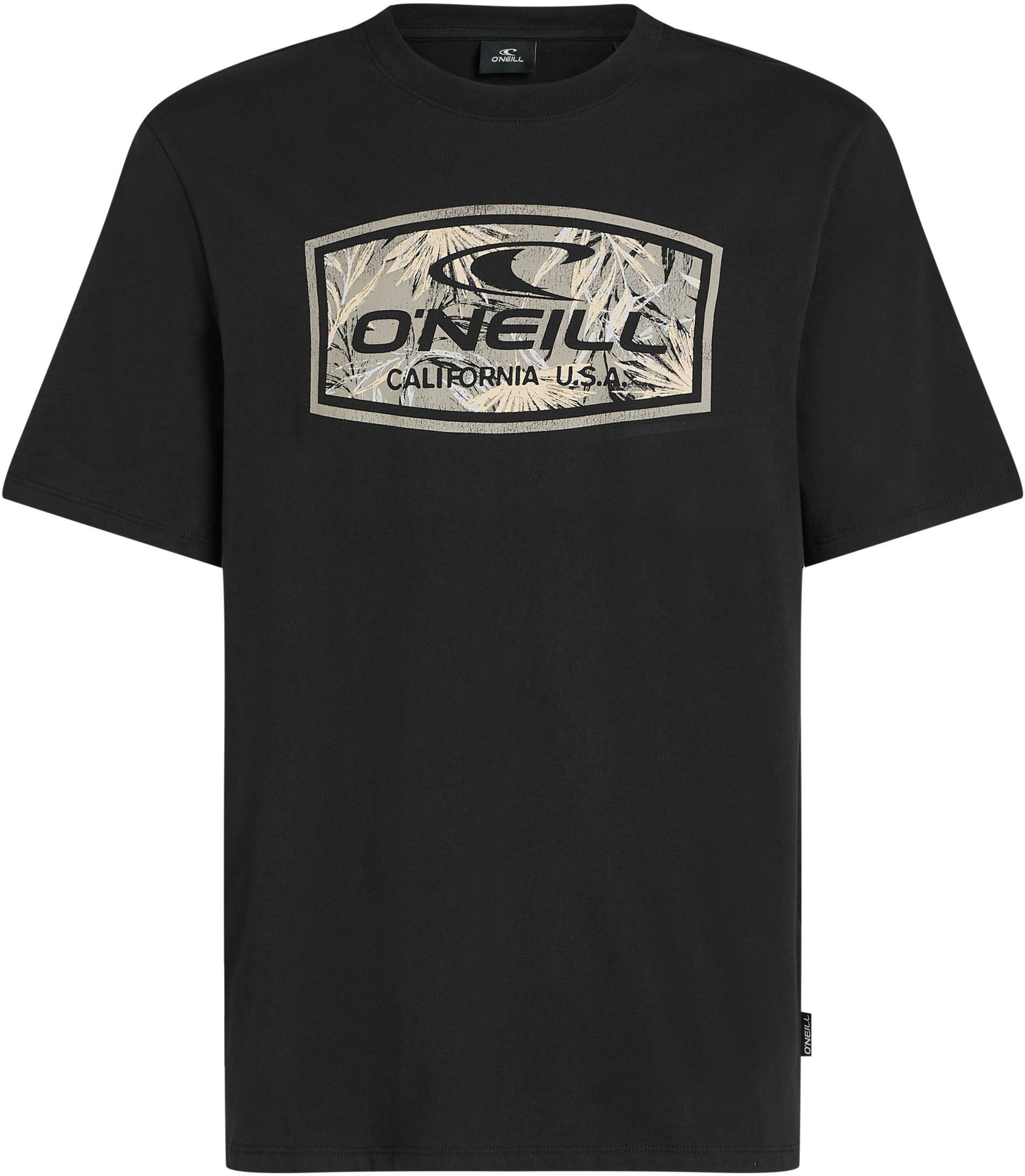 O'Neill T-shirt O'NEILL GRAPHIC T-SHIRT (1-delig)
