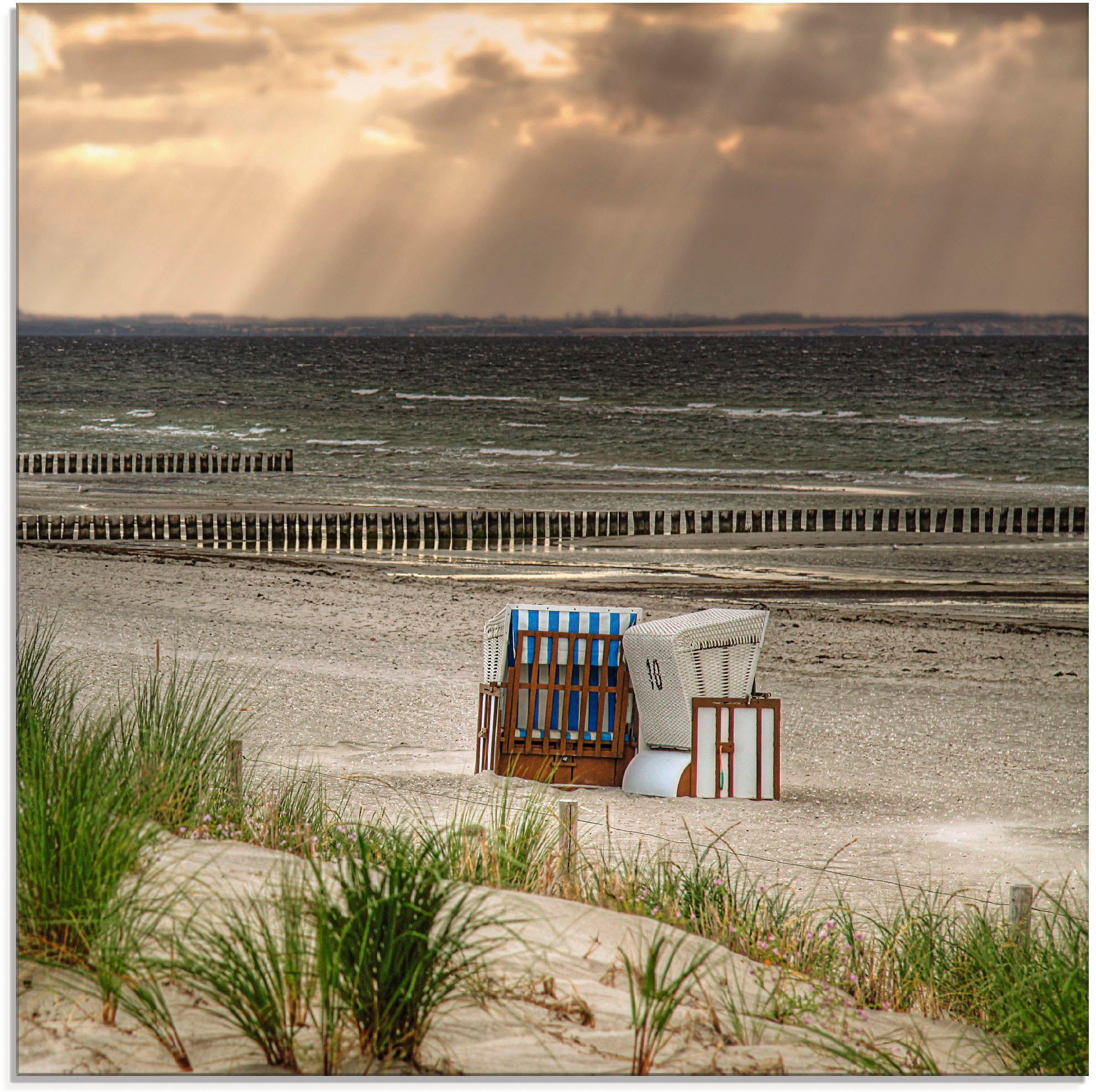 Artland Print op glas Zwarte struik strand op eiland Poel (1 stuk)