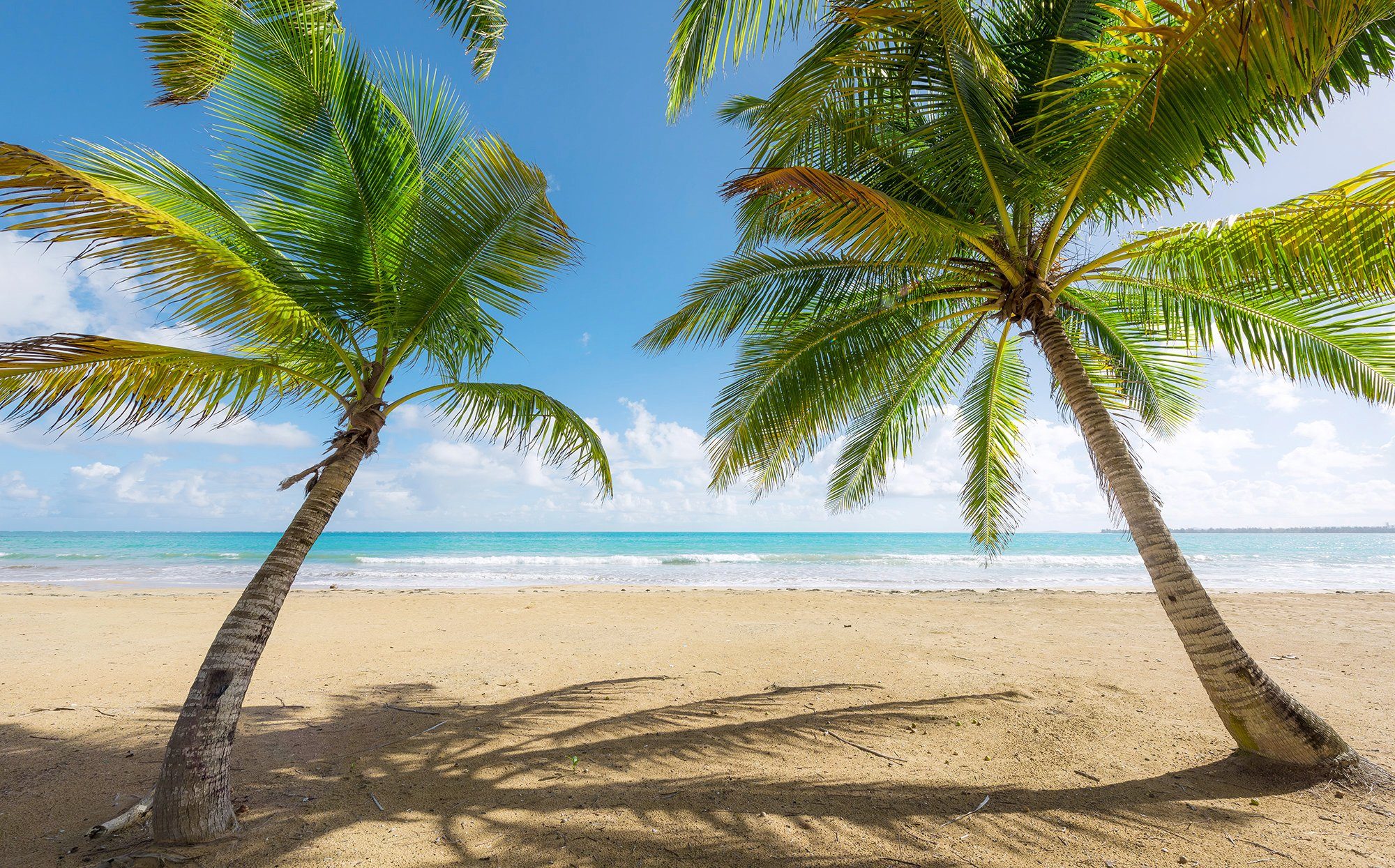 Komar fotobehang Caribbean Days II