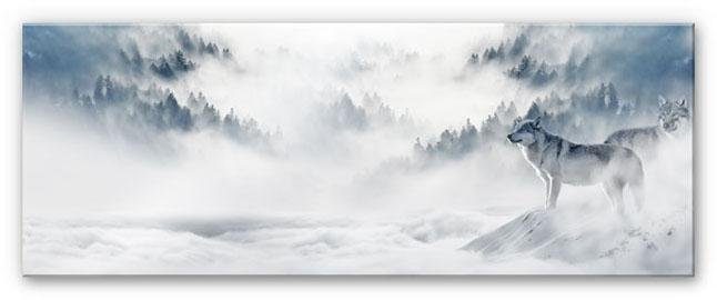 Wall-Art Artprint op acrylglas Wolven in de sneeuw - panorama in 2 maten