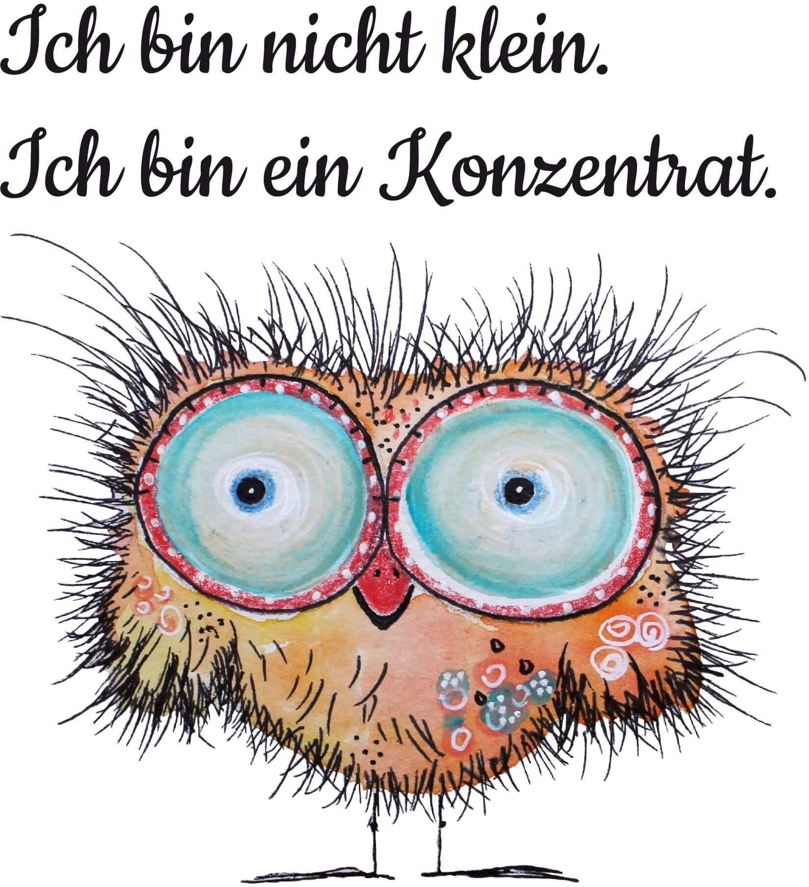WallArt Wandfolie motivierender Spruch lustige Eule online