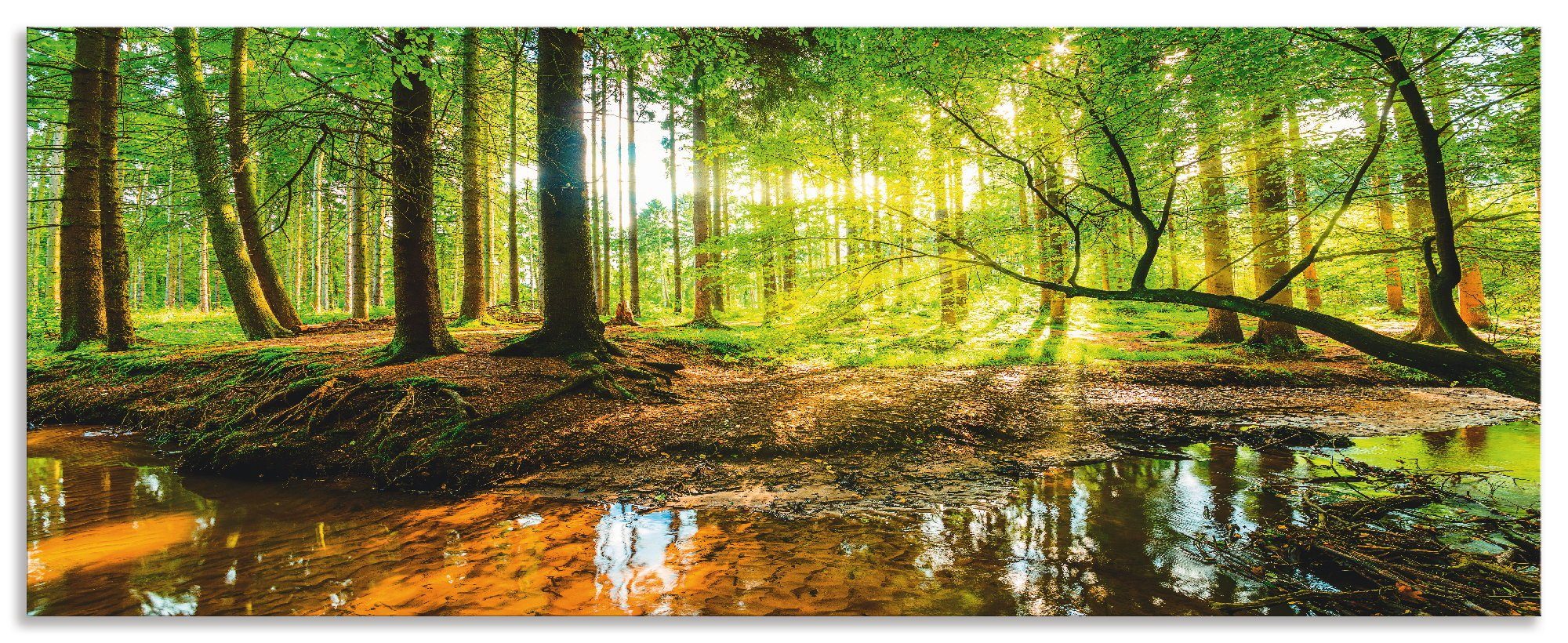 Artland Keukenwand Bos met beek zelfklevend in vele maten - spatscherm keuken achter kookplaat en spoelbak als wandbescherming tegen vet, water en vuil - achterwand, wandbekleding