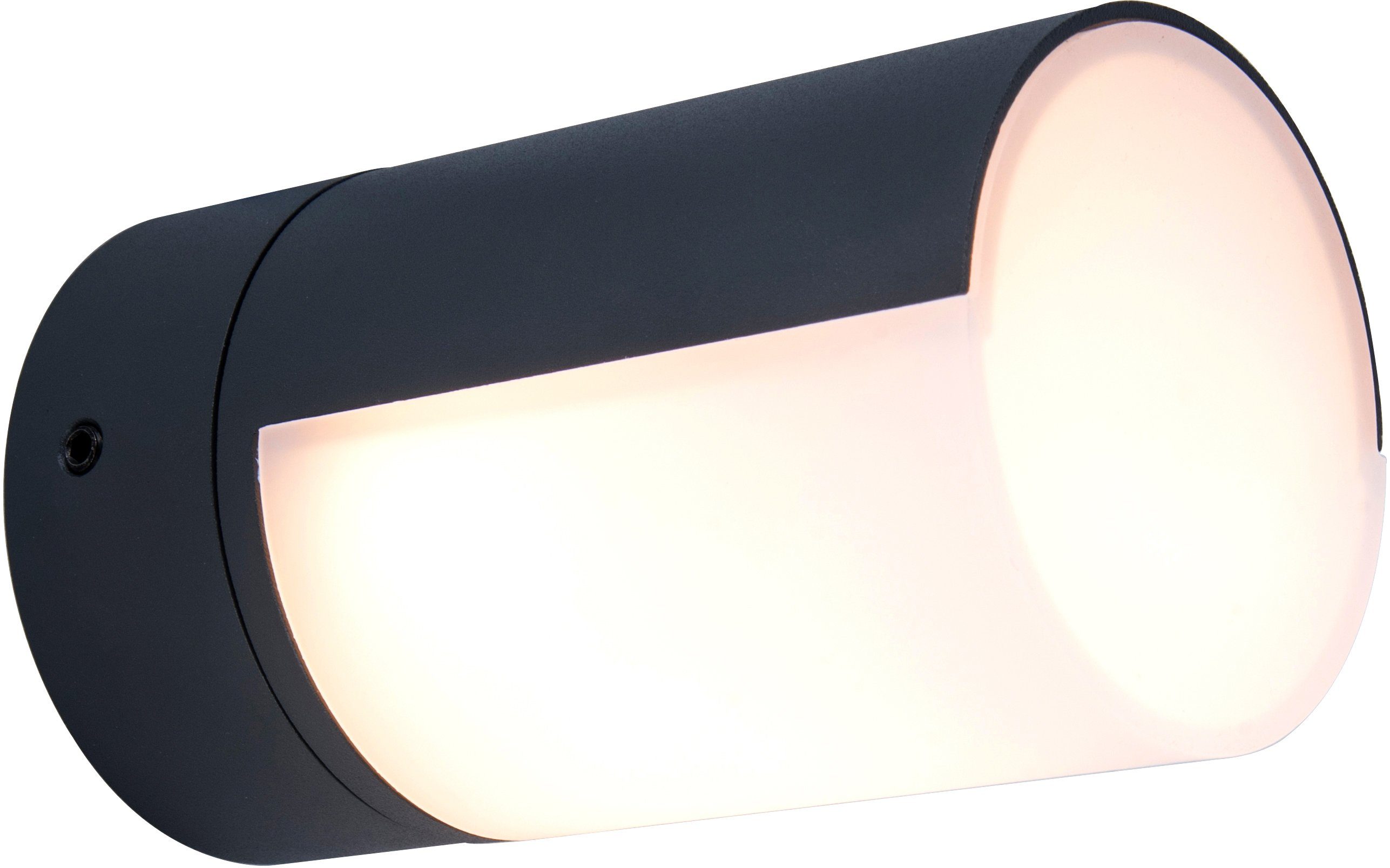 LUTEC Ledwandlamp voor buiten CYRA (1 stuk) tuinlampen grijs