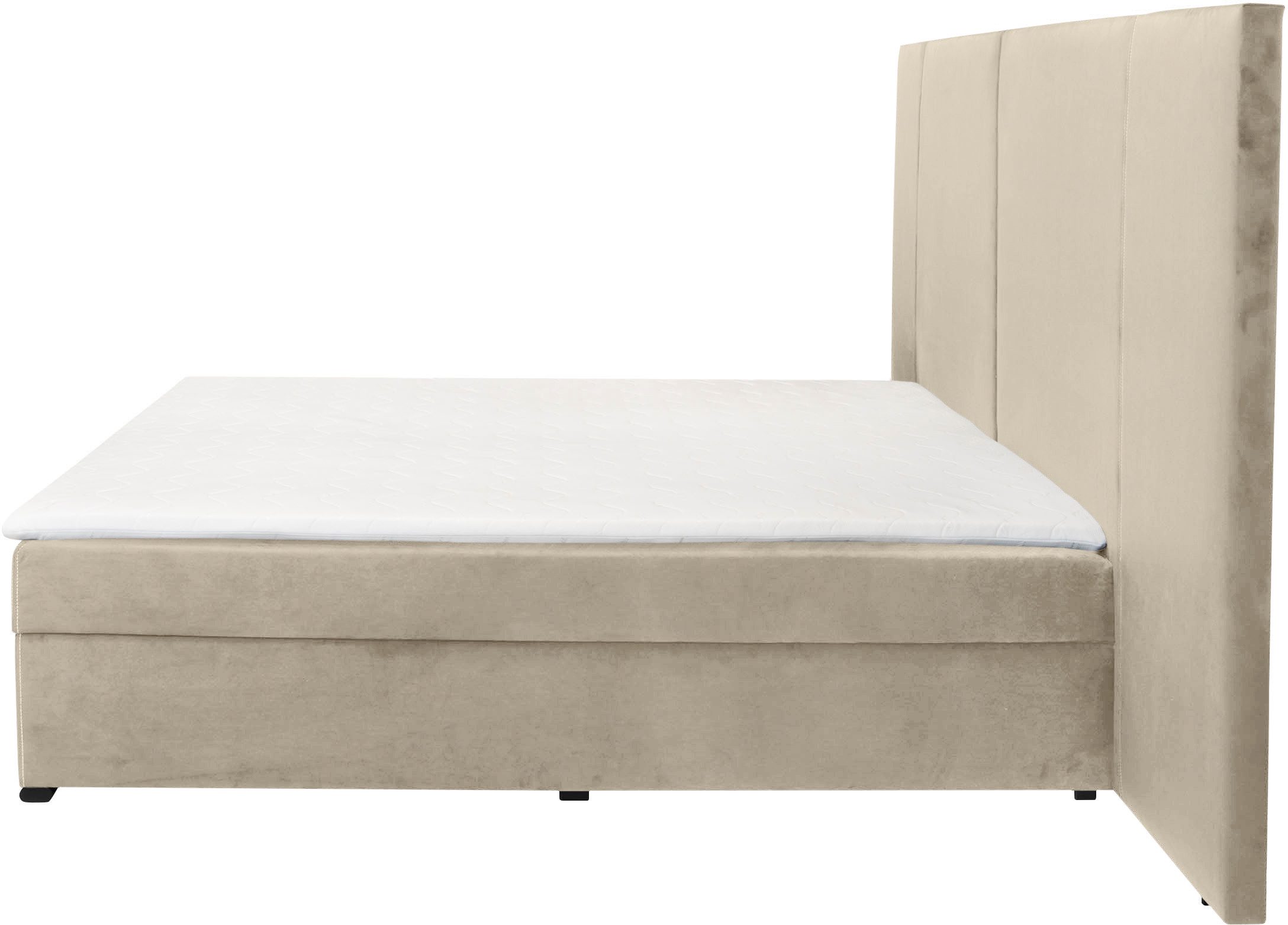 COLLECTION AB Boxspring 30 jaar jubileum model BIG incl. topmatras & bedkist, naar keuze h2,h3,h4