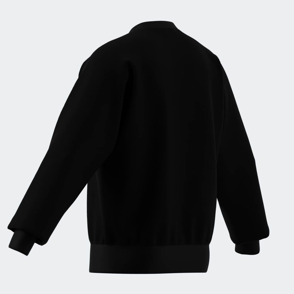 adidas Sportswear Sweatshirt M BL FL SWT