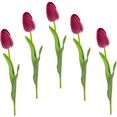 i.ge.a. kunstbloem real touch tulpen set van 5 kunst-tulpenknoppen kunstbloemen snijbloem (5 stuks) roze