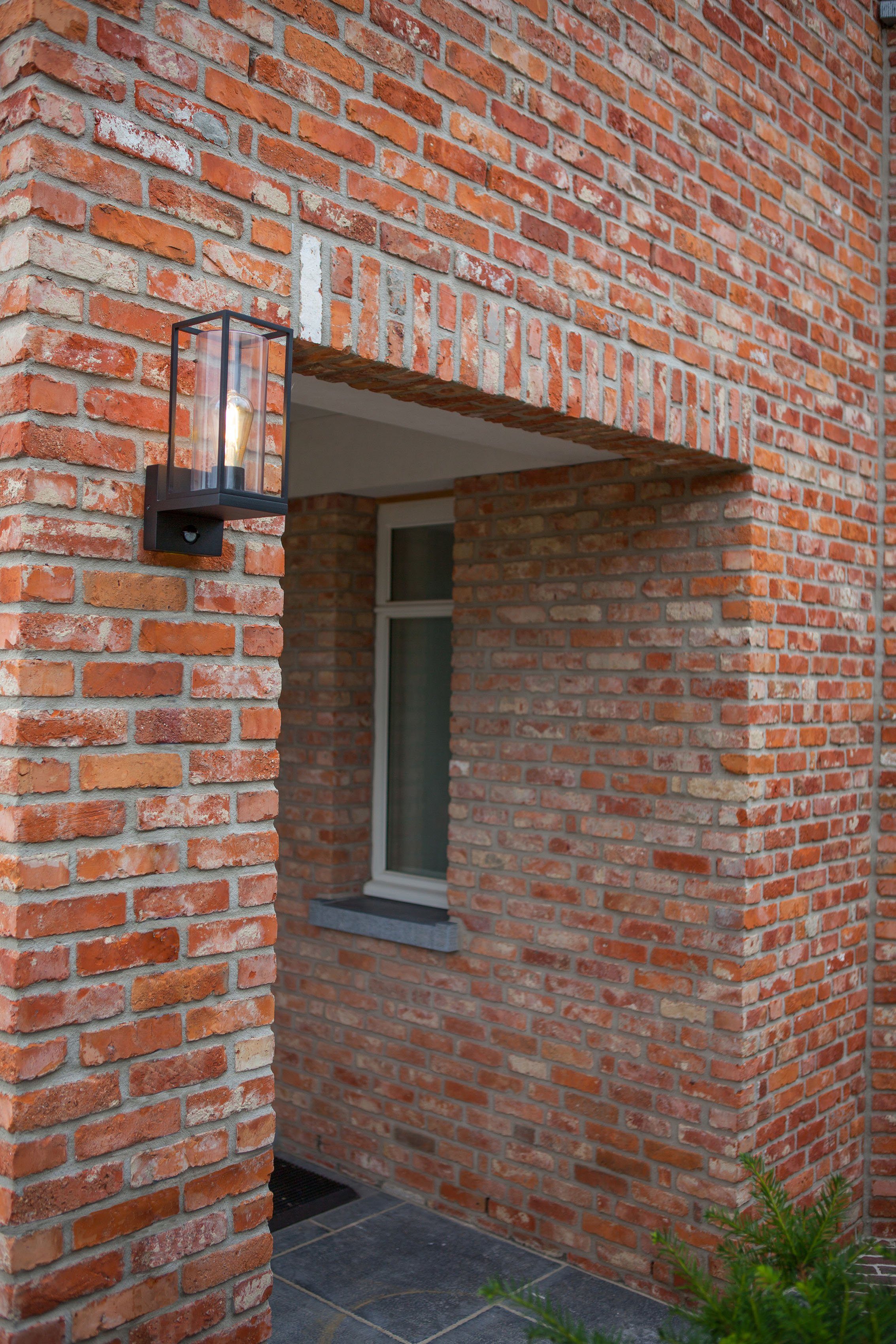 LUTEC Wandlamp voor buiten Flair (1 stuk)