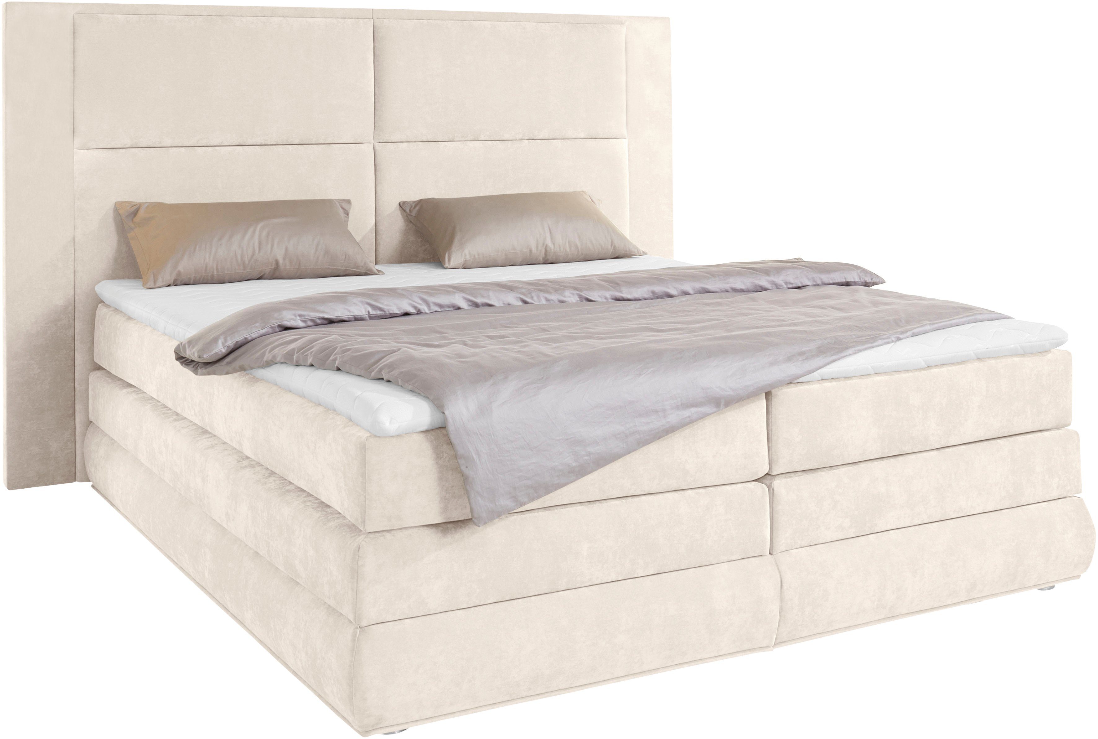 COLLECTION AB Boxspring Copenhagen inclusief bedkist, topmatras, naar keuze met ledverlichting