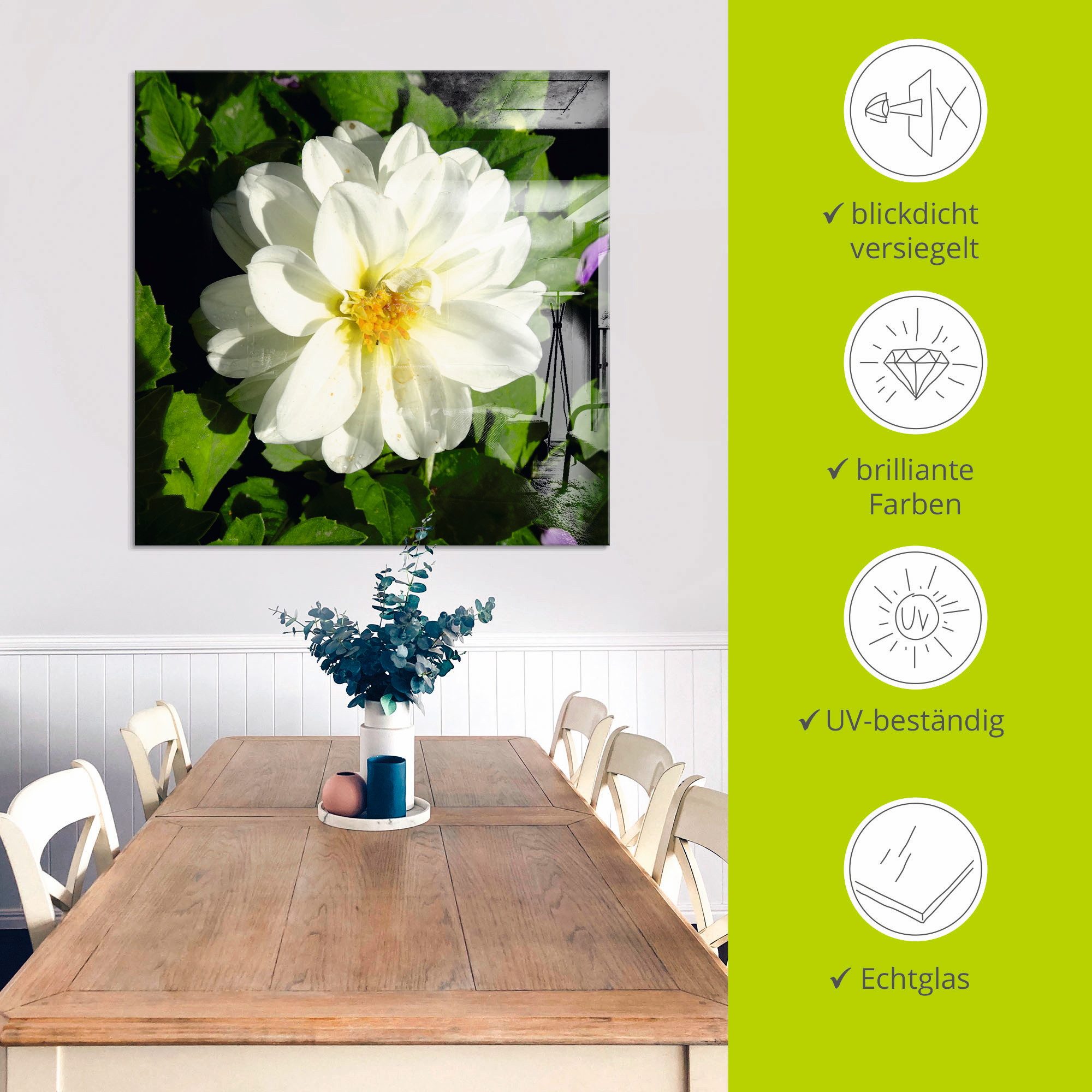 Artland Print op glas Witte dahliabloem in verschillende maten