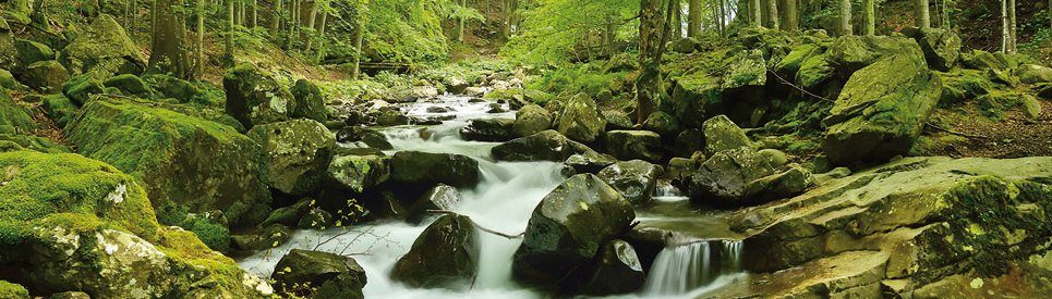 Papermoon fotobehang Soft Water Stream Panorama