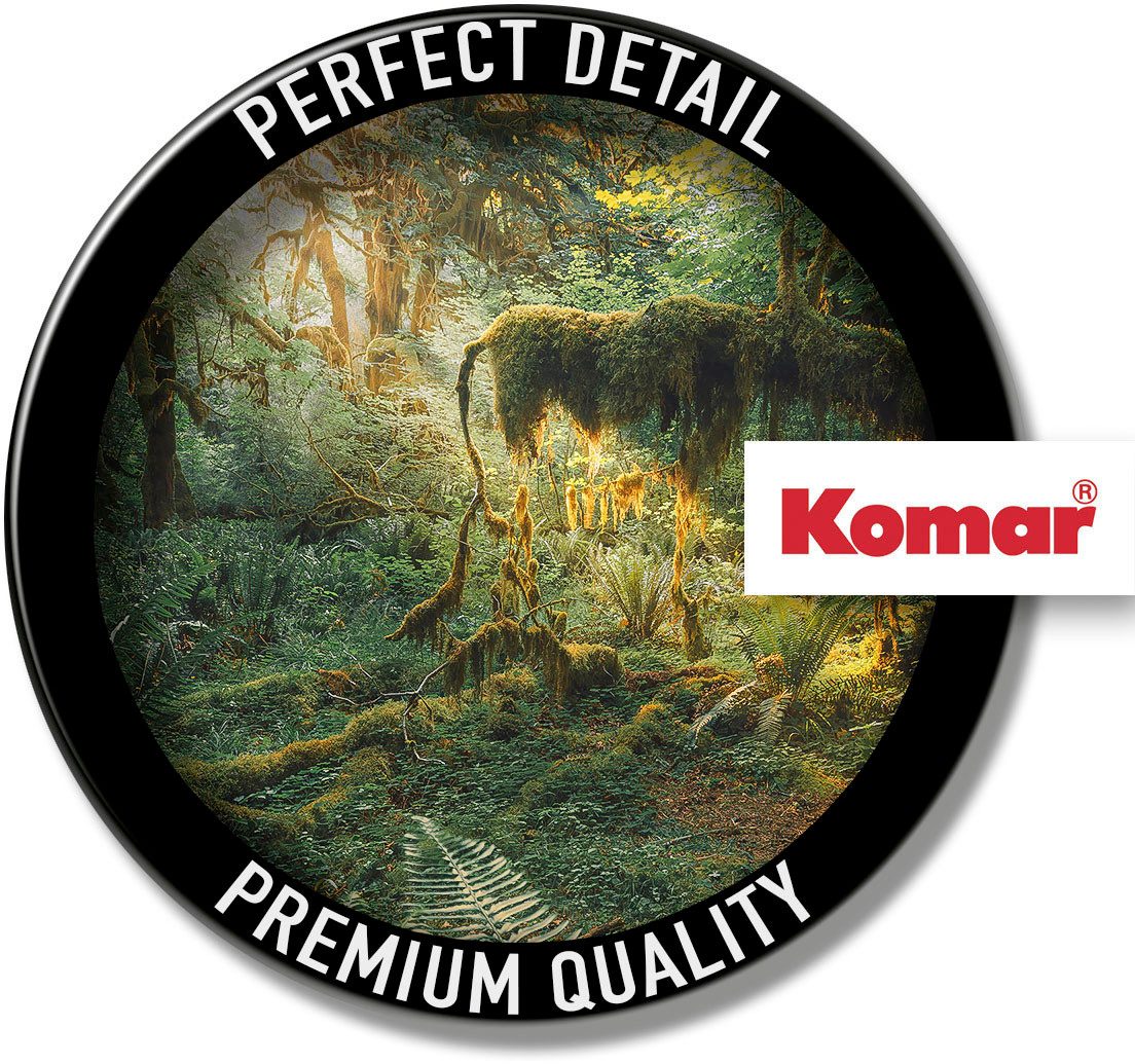 Komar Fotobehang Digitale print vlies - Hall of Mosses - Afmeting 400 x 250 cm (1 stuk)
