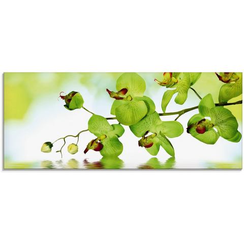 Artland print op glas Schöne Orchidee mit grünem Hintergrund