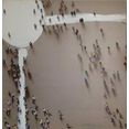 kayoom olieverfschilderij groep mensen 100cm x 100cm beige